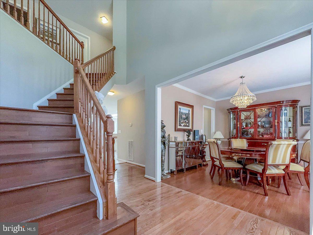 POTOMAC HUNT - Residential