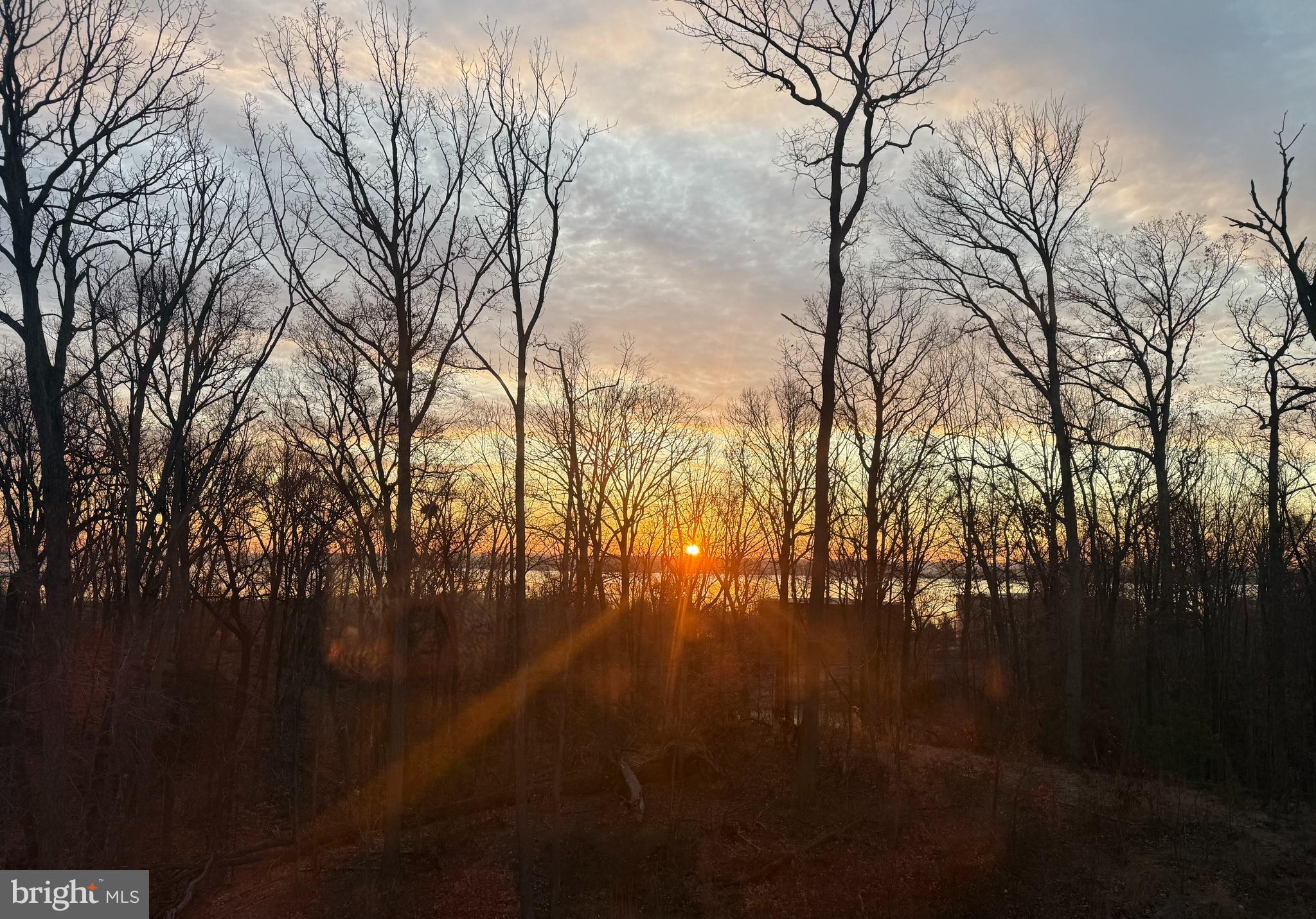 POTOMAC SHORES - Residential