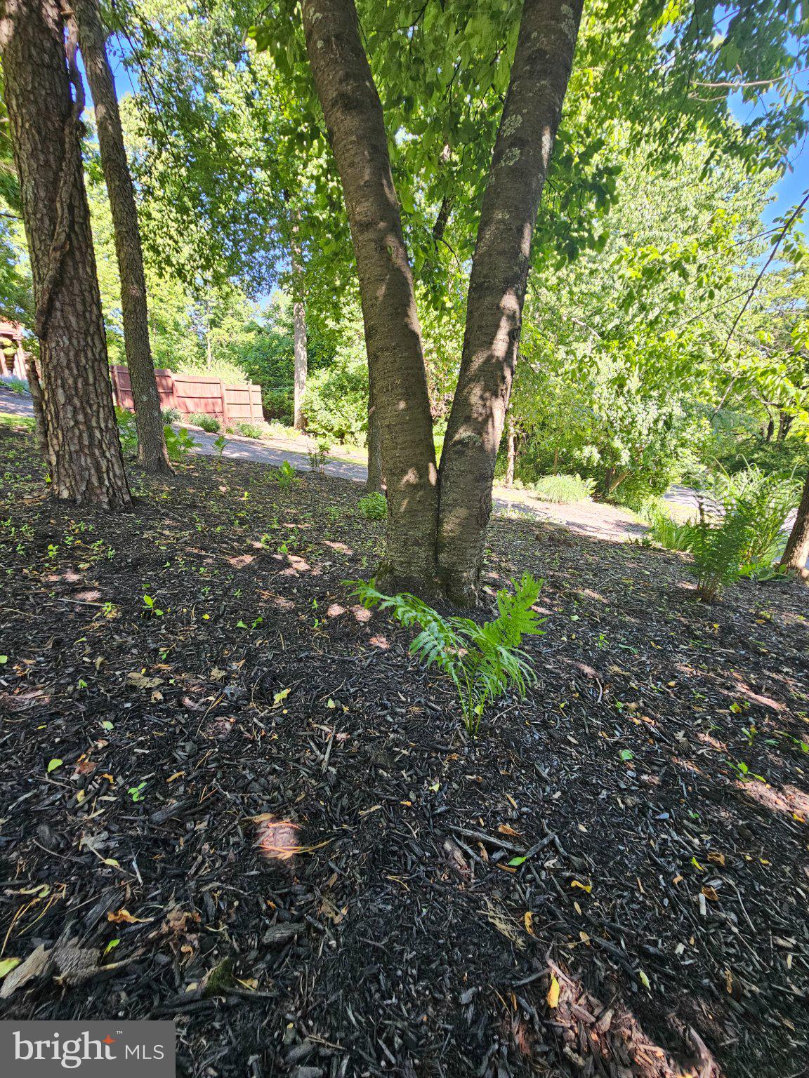 SKYLAND ESTATES - Residential