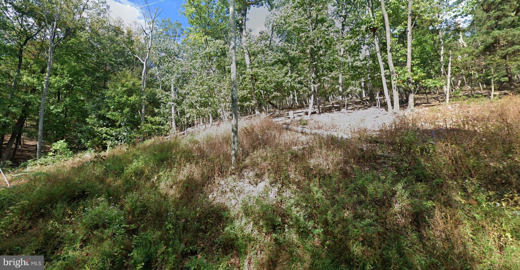 Build your dream home on this beautiful 0.70-acre buildable lot in the scenic Bull Run Mountain Estates community. Surrounded by mature trees and custom homes on spacious homesites, this property offers the perfect balance of privacy, natural beauty, and everyday convenience.

Extensive due diligence has already been completed, making this an exceptional opportunity for buyers looking to streamline the building process. The property has received Prince William County Non-Conforming Use (NCU) approval, allowing the next owner to move forward with lot grading and future home construction. The Virginia Department of Health Site & Soil Evaluation has also been completed and approved, including a TL-3 Alternative Drip Septic System with approximately 5,516 square feet designated for primary and reserve drain fields.

Adding to its appeal, none of the property is located within a 100-year floodplain or Resource Protection Area (RPA), providing added flexibility for future site planning and development. A private well will be required, allowing buyers the opportunity to create a truly independent homesite.

Positioned on a scenic mountainside with approximately a 32% sideslope, the lot offers an ideal setting for a custom home designed to complement the surrounding landscape and capture potential seasonal mountain views. Whether you're envisioning a modern architectural retreat or a timeless mountain inspired residence, this property provides the perfect canvas to bring your vision to life.

Conveniently located just minutes from Route 15, Route 29, I-66, Haymarket, and Gainesville, you'll enjoy easy access to shopping, restaurants, wineries, breweries, and outdoor recreation, including James S. Long Regional Park and the Bull Run Mountains Natural Area Preserveall while enjoying the peaceful lifestyle that makes Bull Run Mountain so desirable.

For added buyer confidence, the approved Site & Soil Evaluation, Prince William County NCU approval, and plat survey are available upon request, providing much of the critical groundwork already completed and bringing you one step closer to building your dream home.