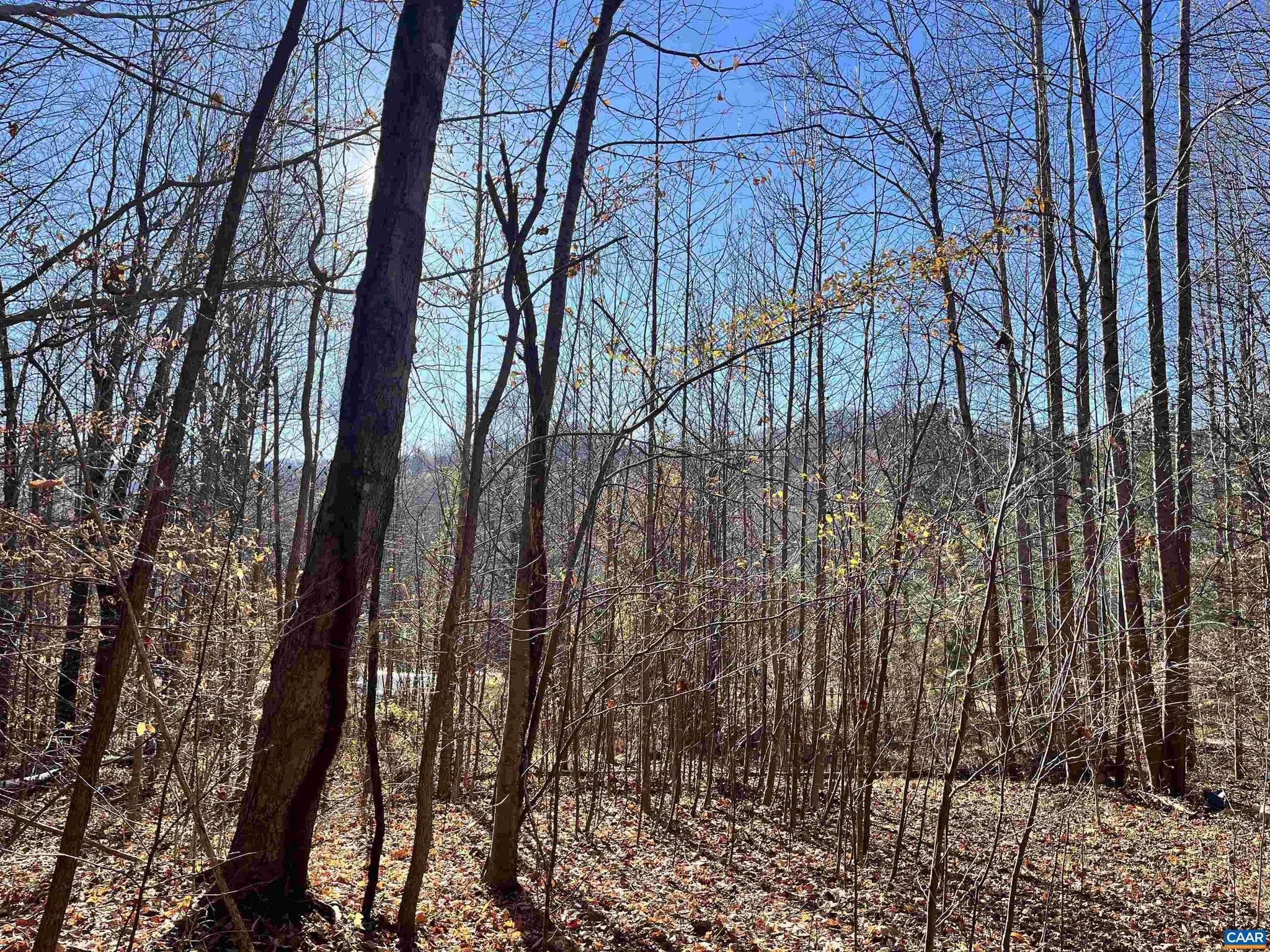 Don't miss the chance to turn your vision into reality on this 3-acre property in the heart of Nelson County. Surrounded by wineries, breweries, and a quick drive to Wintergreen, the location of this land can't be beat! Whether you're seeking a serene retreat or an investment opportunity, this parcel awaits your creativity.