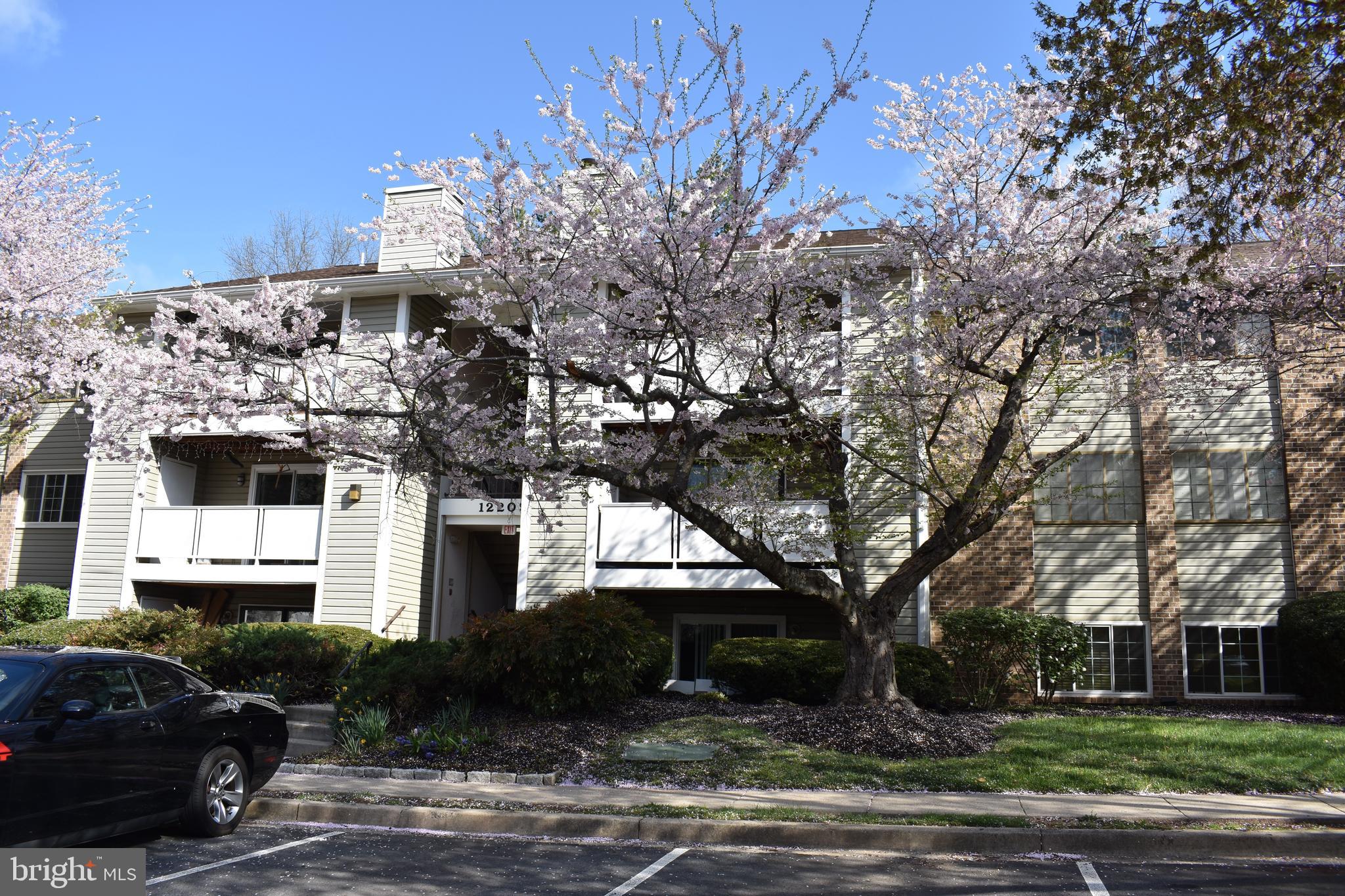 KNOLLS AT NORTH LAKE CONDOMINIUM - Residential