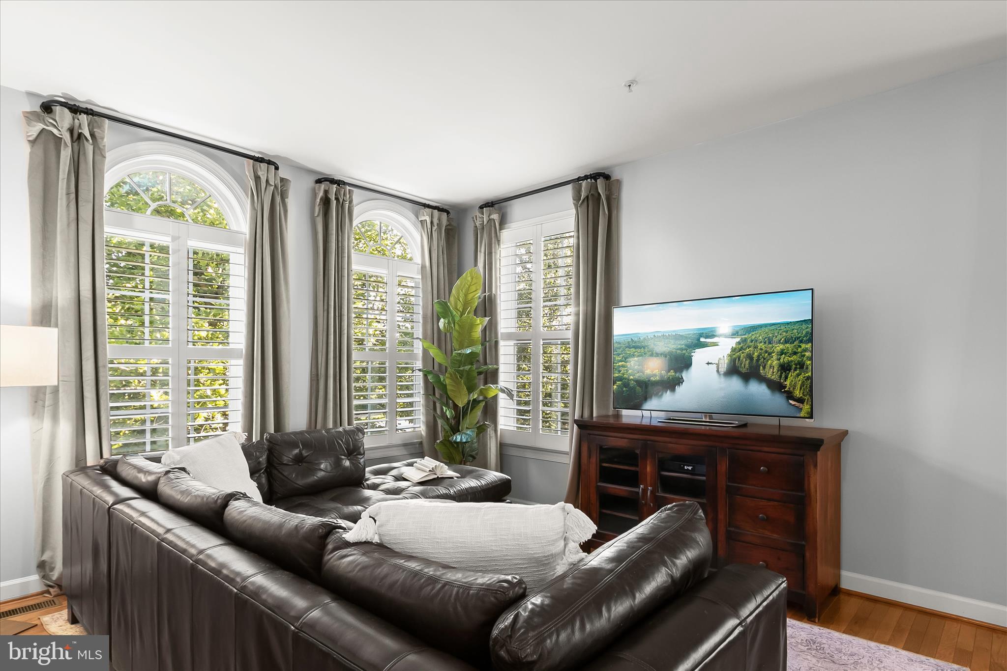 ELLICOTT SQUARE - Residential