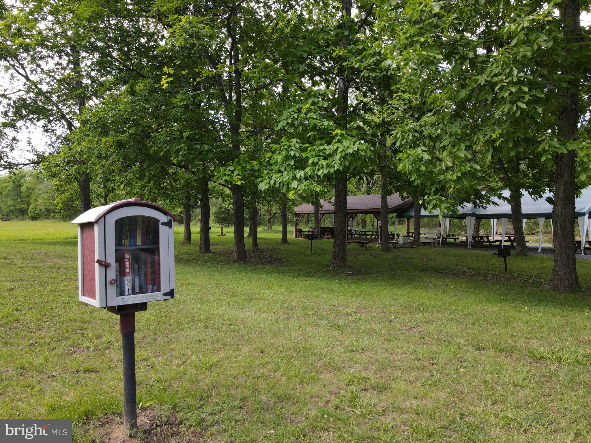 THE CROSSING AT GREAT CACAPON - Residential