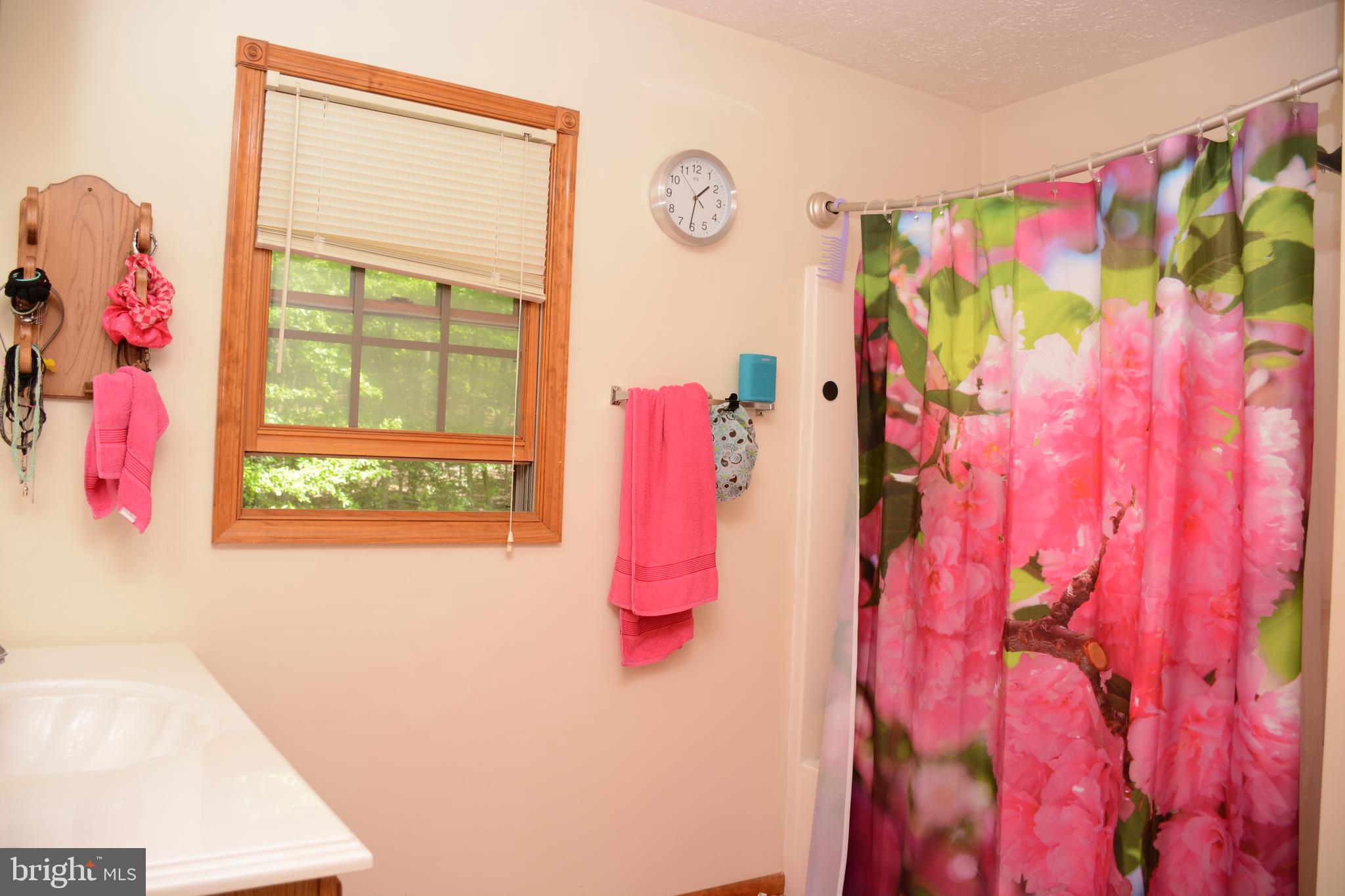 THE CROSSING AT GREAT CACAPON - Residential