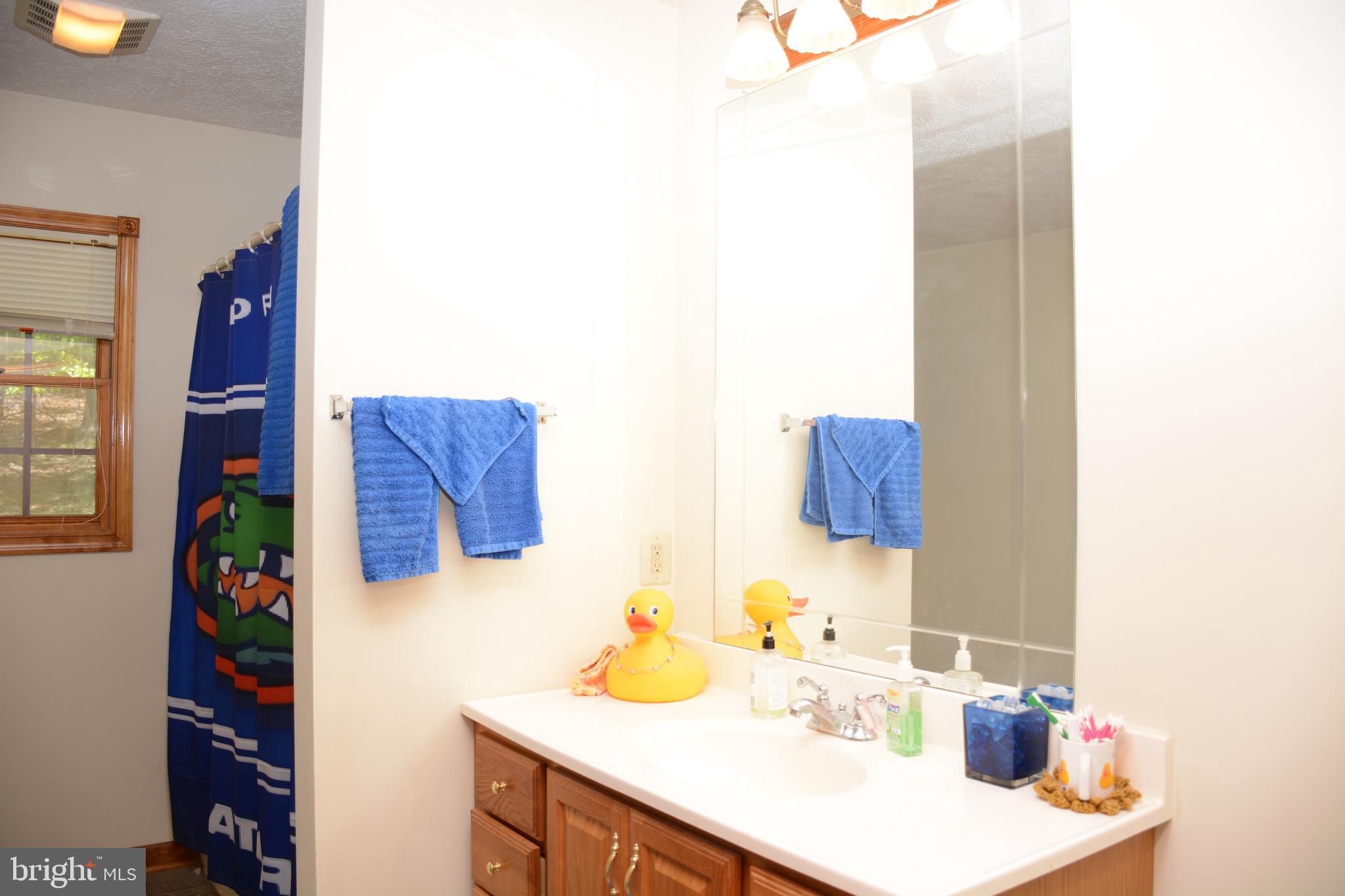 THE CROSSING AT GREAT CACAPON - Residential