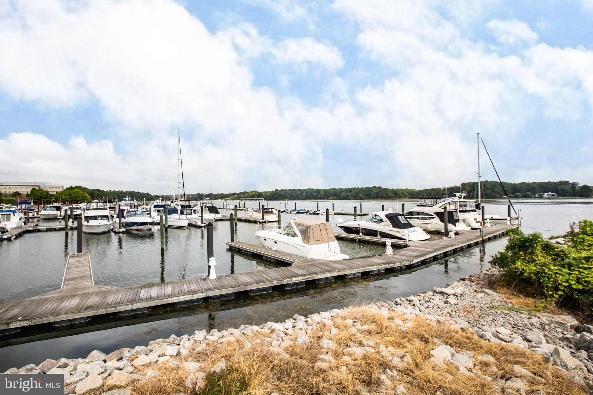 RIVER CLUB 1 AT BELMONT - Residential