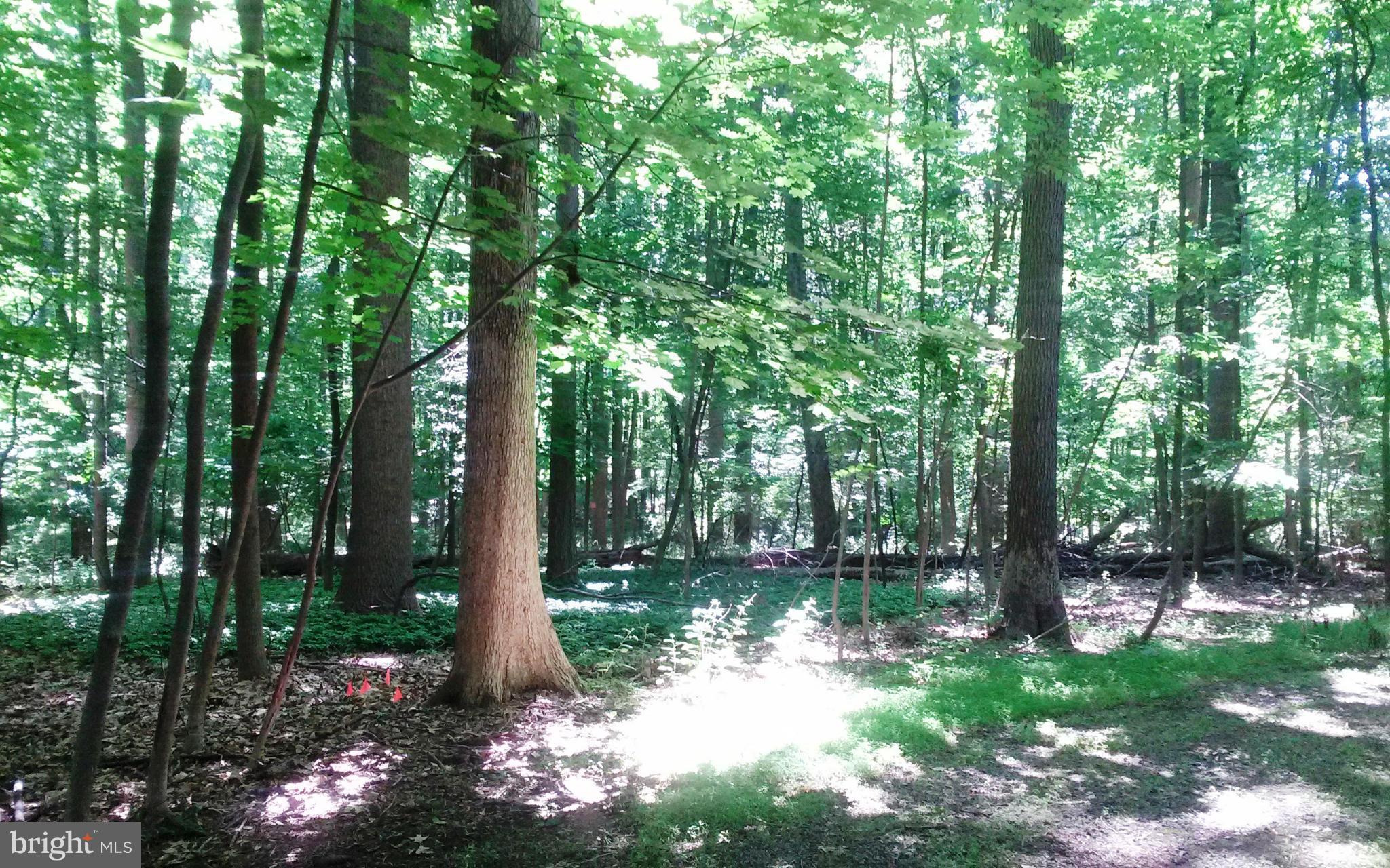 LUTHERVILLE - Land