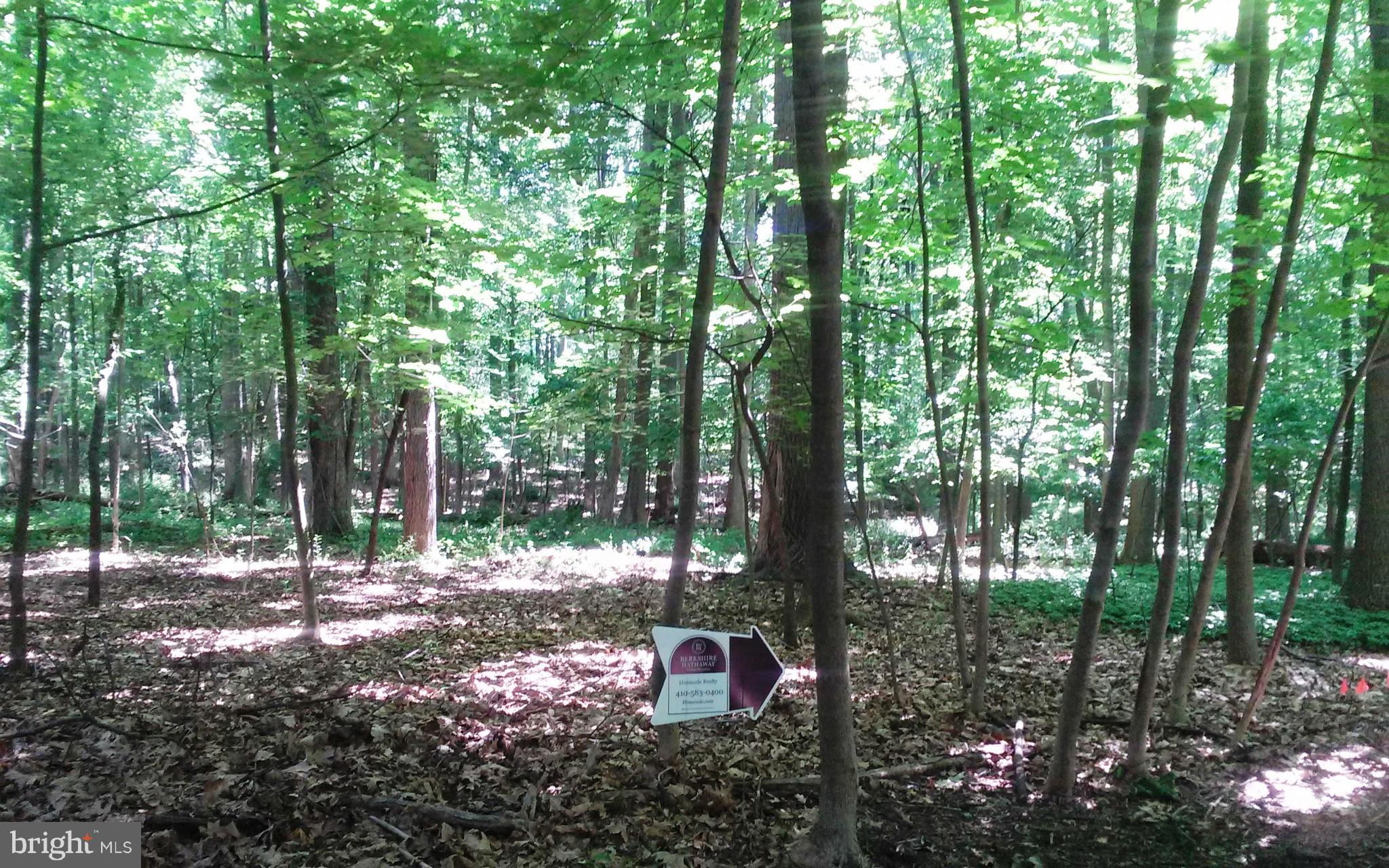 Wooded building lot consisting of 2 parcels totaling 1.7 acres set back off of West Padonia Road near Falls Road.  In fee access but neighbor has an easement to use it for ingress and egress.  Survey has been ordered; perc test has been ordered; Seller will give Buyer $5000. credit towards drilling a well.  Level building site with good privacy.