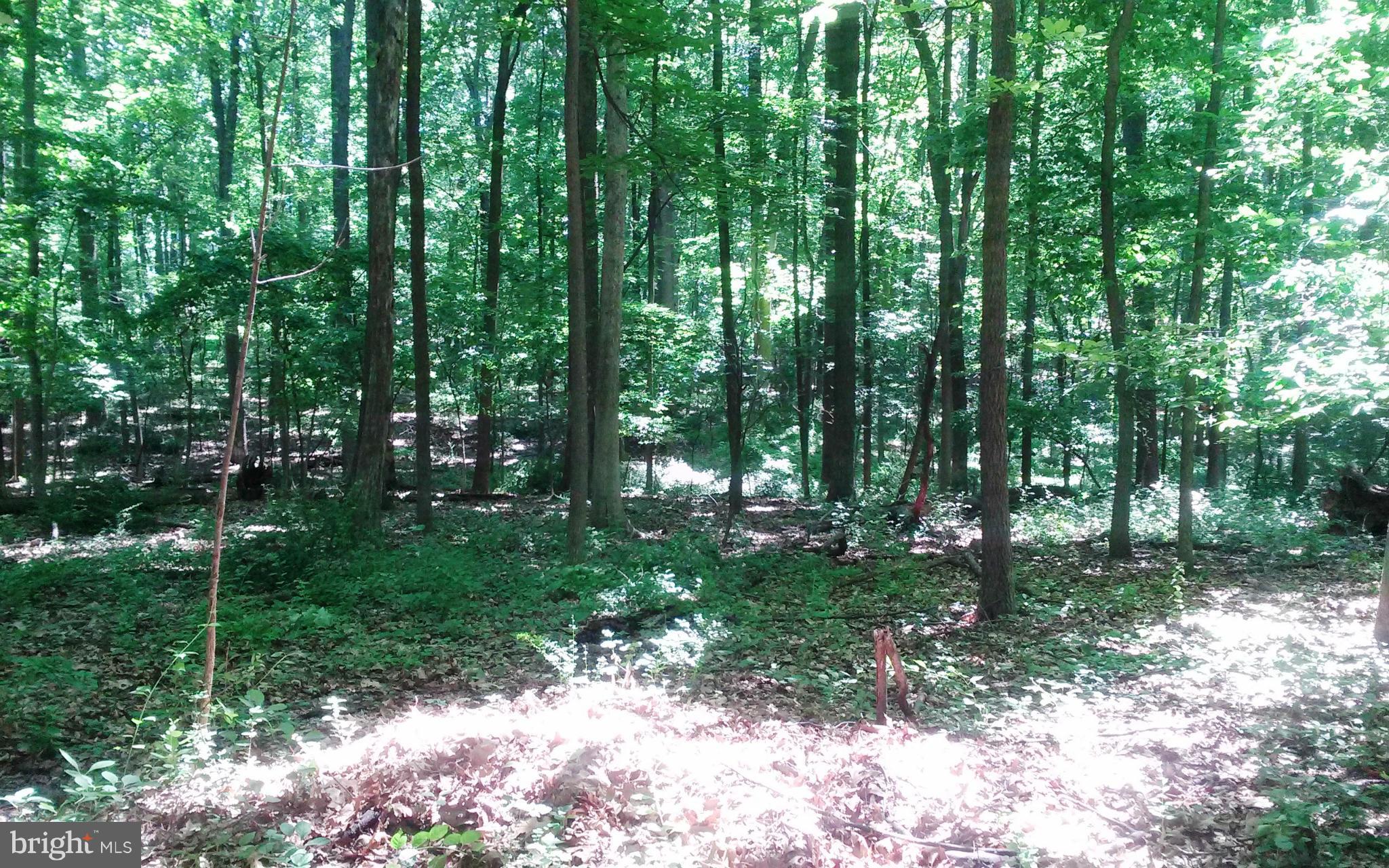 LUTHERVILLE - Land