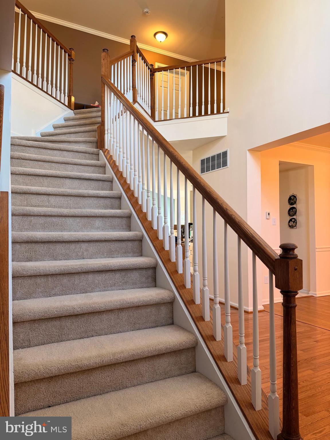 HIGHGATE - Residential