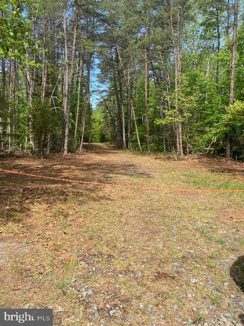 Discover the beauty and privacy of country living with this stunning 58.45-acre property nestled in the heart of the county.  Featuring 58 wooded acres, this land offers a peaceful, natural setting surrounded by picturesque countryside—perfect for those seeking space, serenity, and endless possibilities.  Whether you’re dreaming of building your custom home, creating a private retreat, or establishing a small farm, this property provides the ideal backdrop. With plenty of room for horses, chickens, and other animals, you can truly embrace a rural lifestyle.  Conveniently located just a short drive to Ladysmith, I-95, and Ashland, you’ll enjoy the perfect balance of seclusion and accessibility. If privacy, beauty, and potential are at the top of your list, this exceptional property is a must-see.