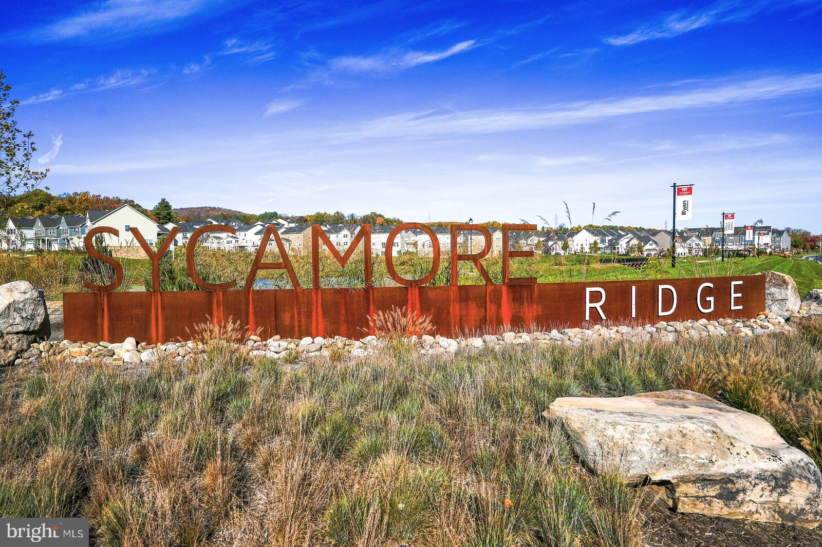 SYCAMORE RIDGE - Residential