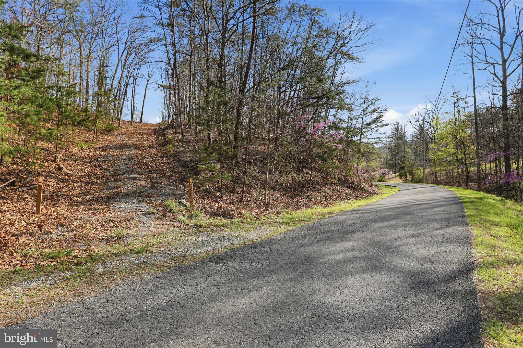 Discover the perfect blend of privacy and natural beauty with this 5.49-acre parcel on Whispering Knolls Dr in Winchester, VA. Nestled among scenic country roads, this property offers a peaceful setting to build your dream home. Located approximately 6 miles from I-81, it provides a manageable commute while still offering the charm of rural living. Winchester Medical Center is less than 10 miles away, with farmers markets, dining, and shopping also within easy reach. Situated off a paved road, the property features an established driveway (in need of improvement), along with a completed survey and soil study for a 4 bedroom perc—saving you time as you plan your build. Whether you're ready to build now or simply looking for a serene piece of land to call your own, this property captures the beauty and simplicity of country living.