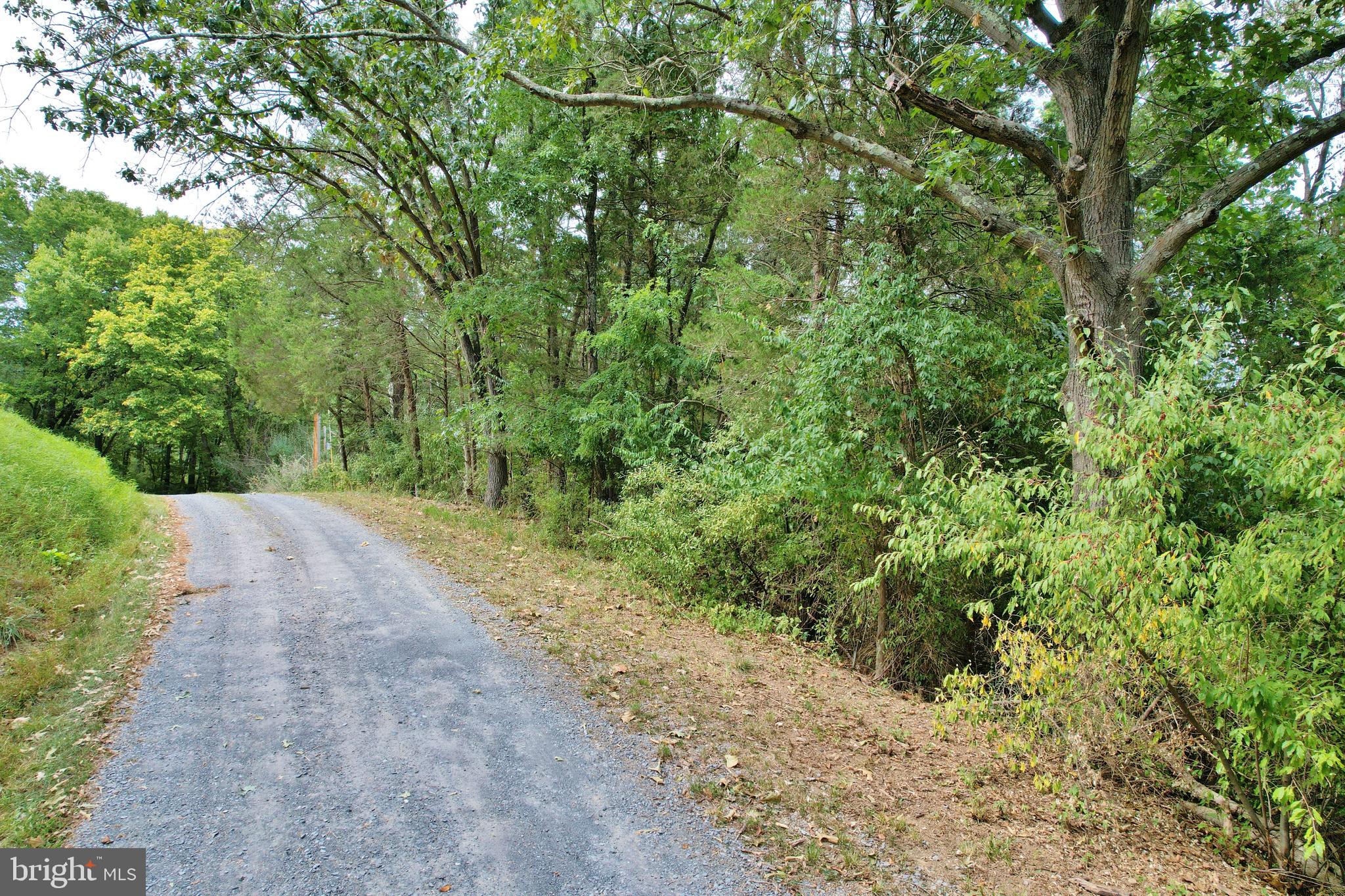 SHENANDOAH RIDGE - Land