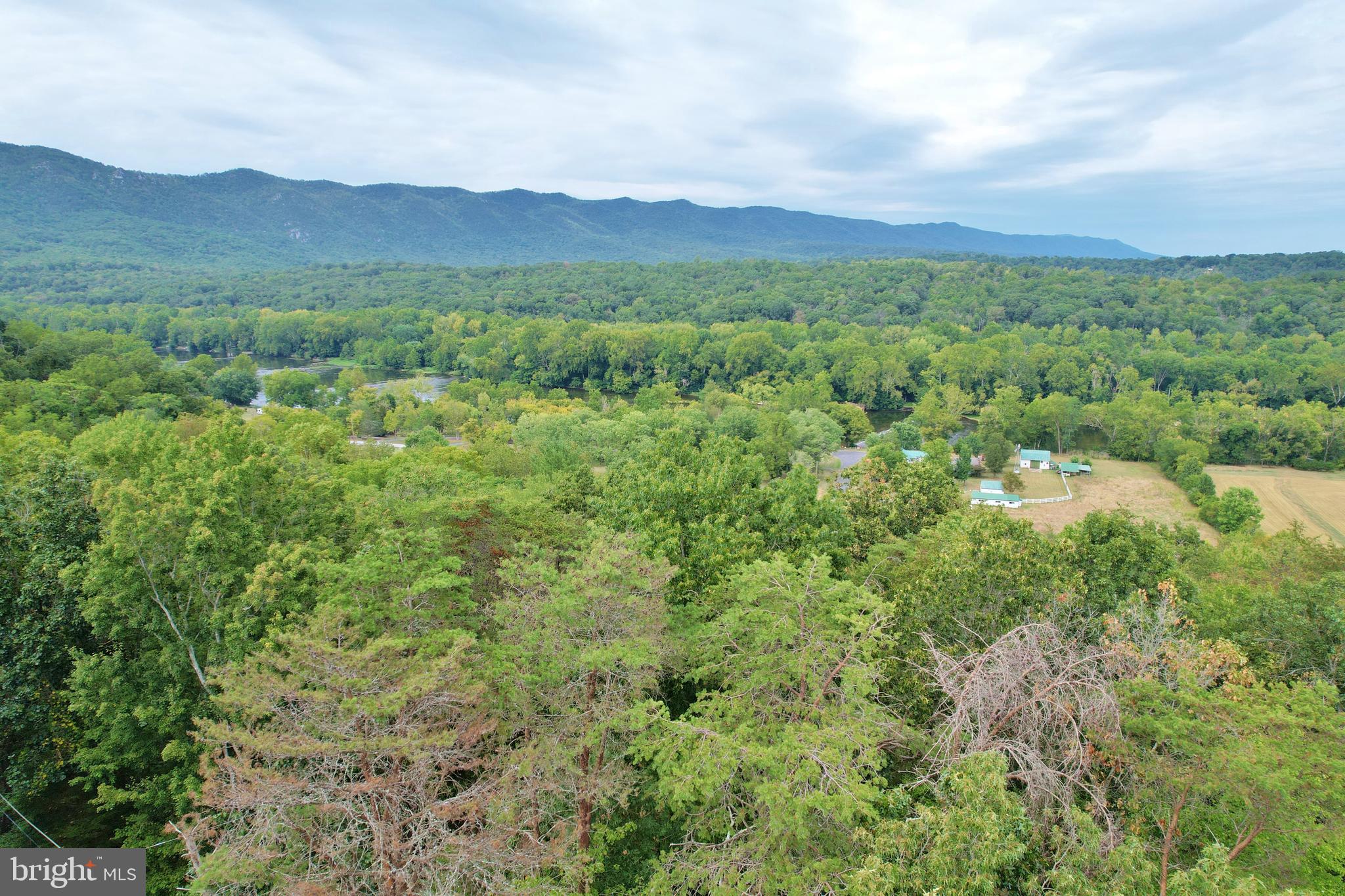SHENANDOAH RIDGE - Land