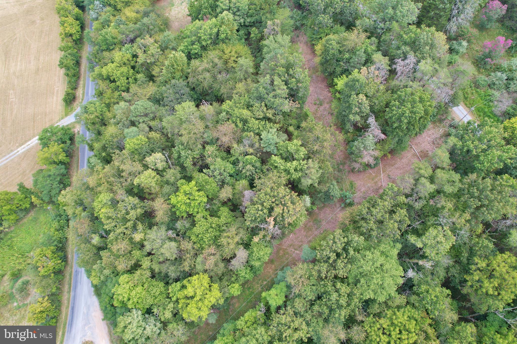 SHENANDOAH RIDGE - Land