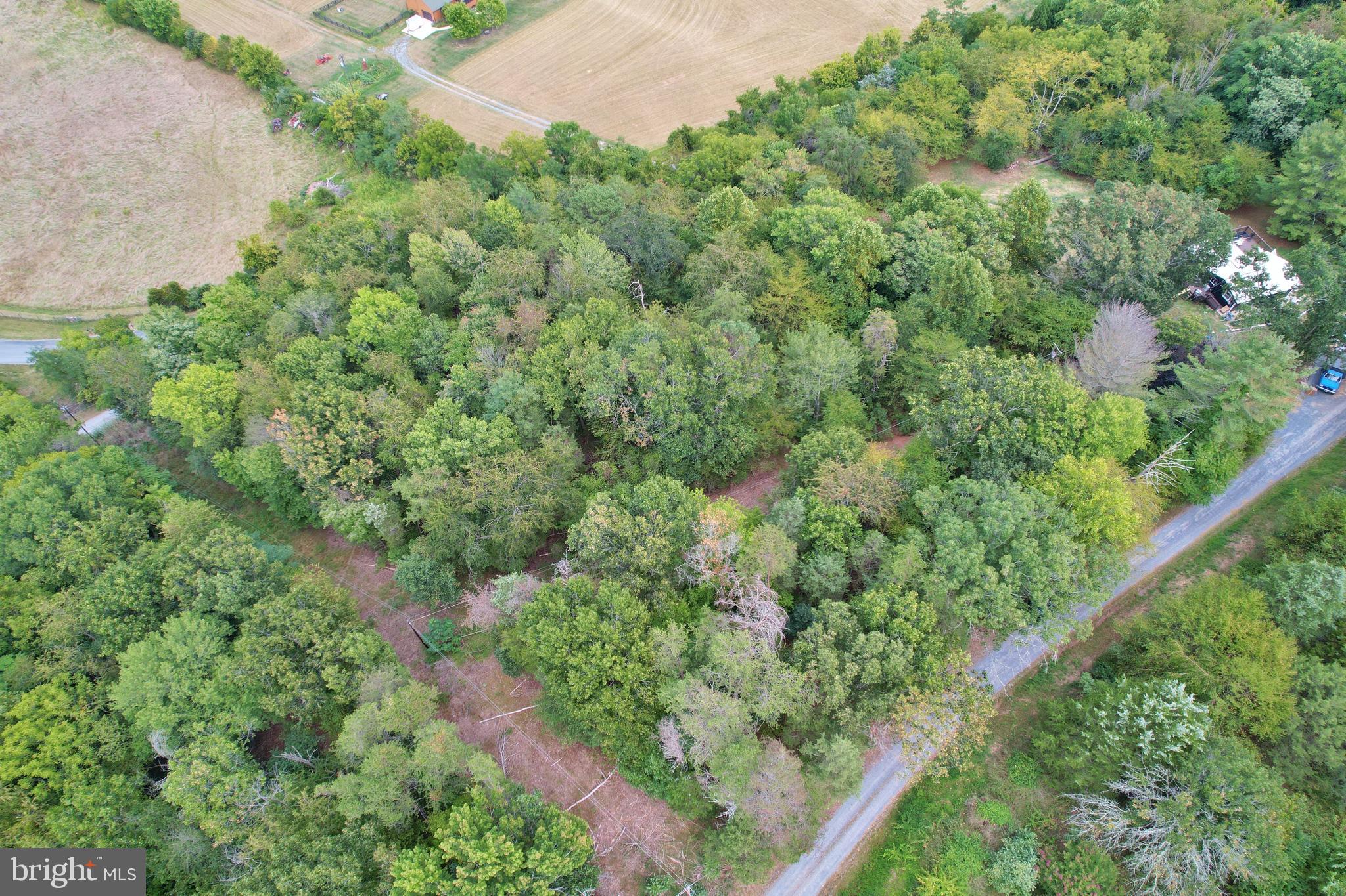 SHENANDOAH RIDGE - Land