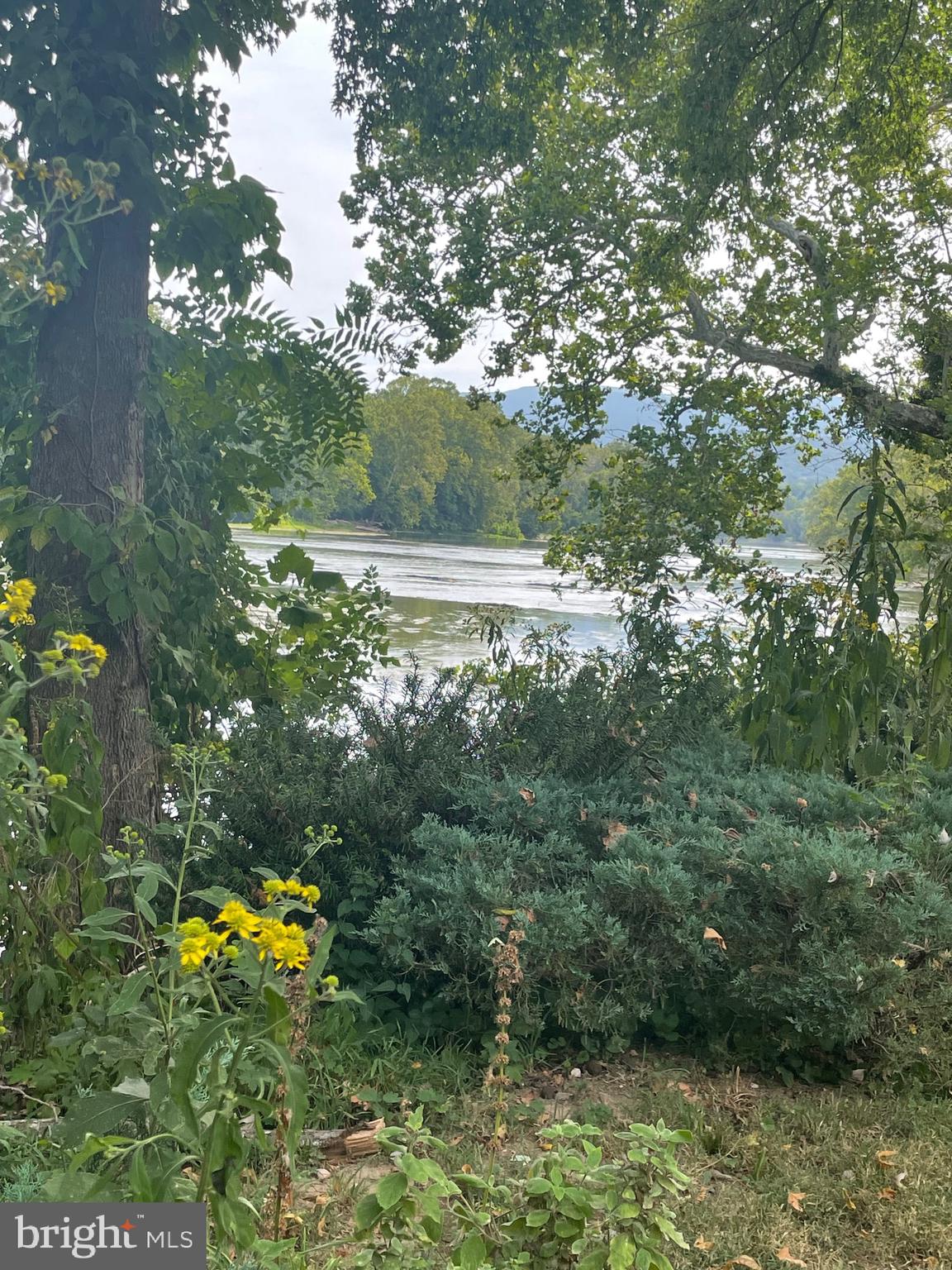 SHENANDOAH RIDGE - Land