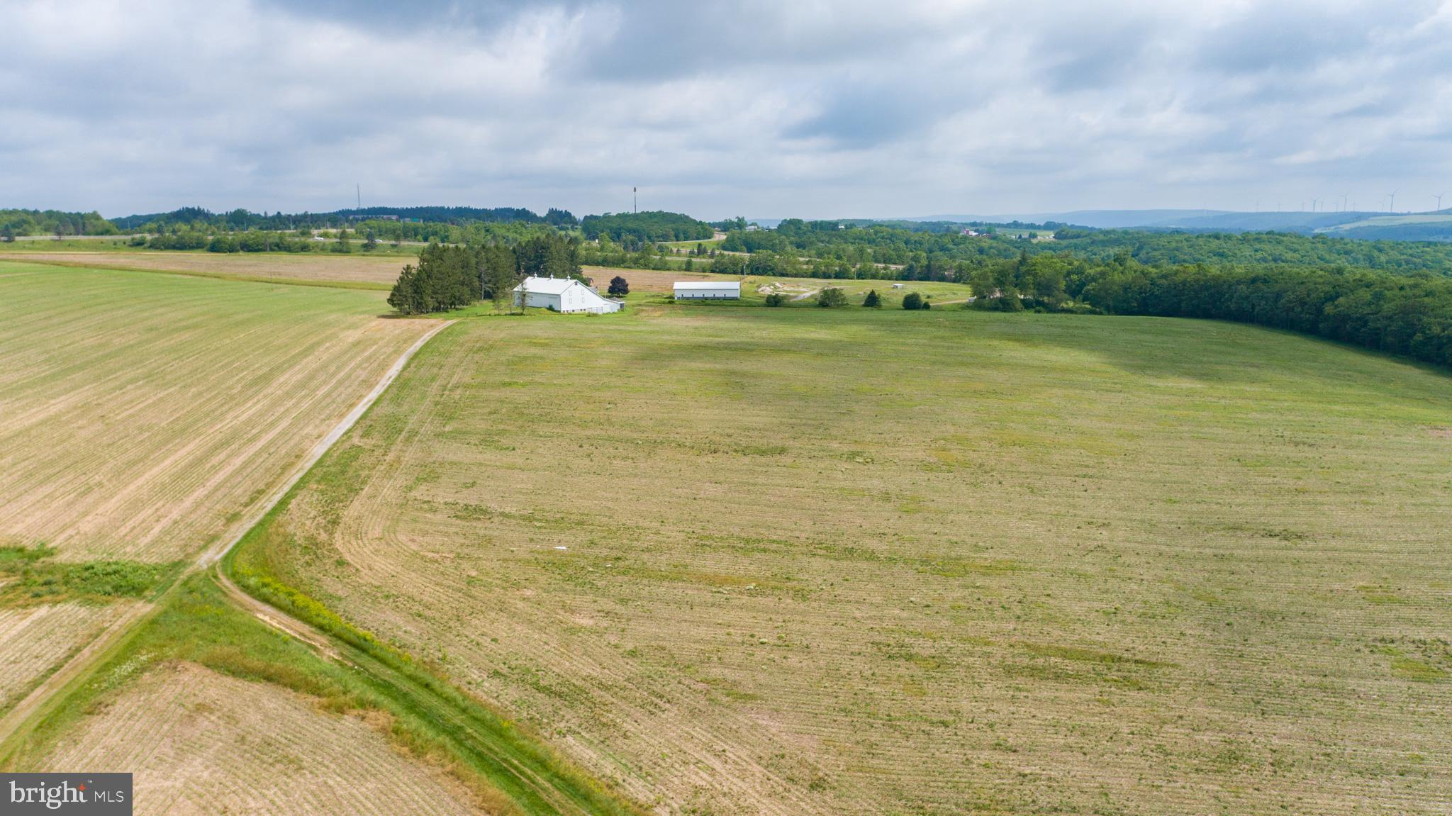 NONE AVAILABLE - Farm