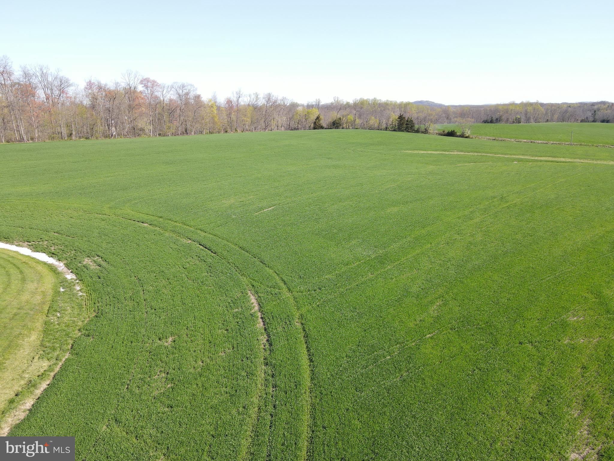 NONE, RURAL - Farm