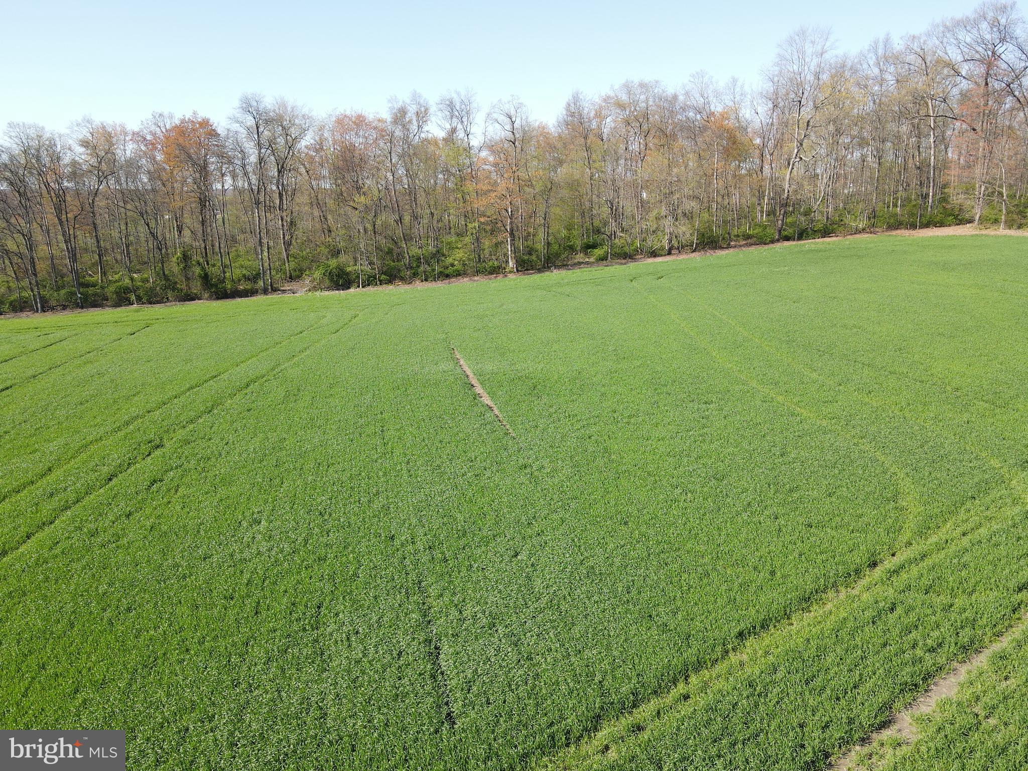 NONE, RURAL - Farm