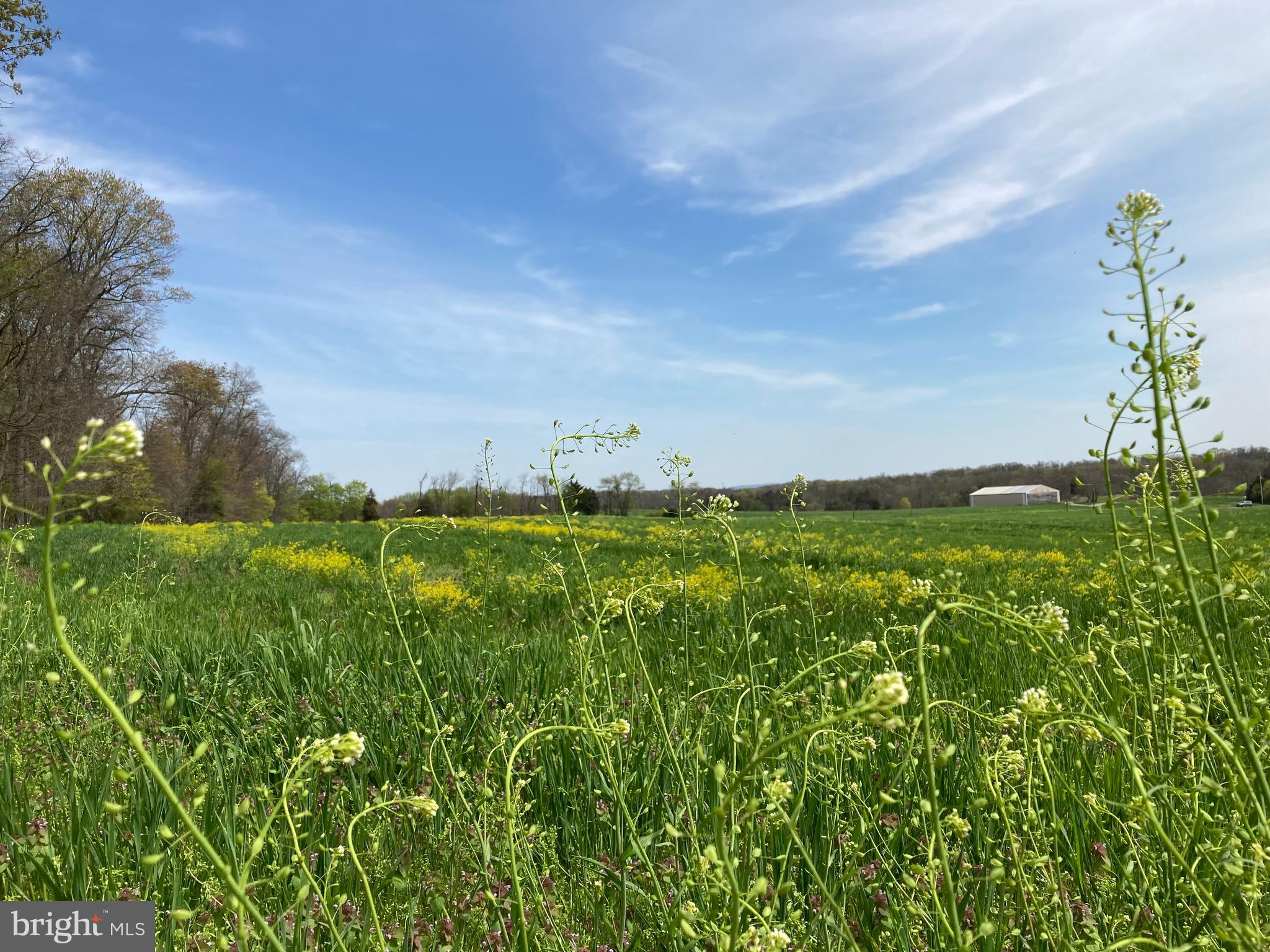 NONE, RURAL - Farm