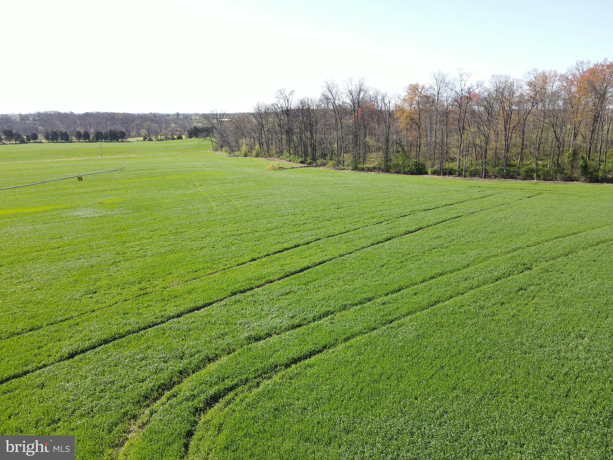 NONE, RURAL - Farm