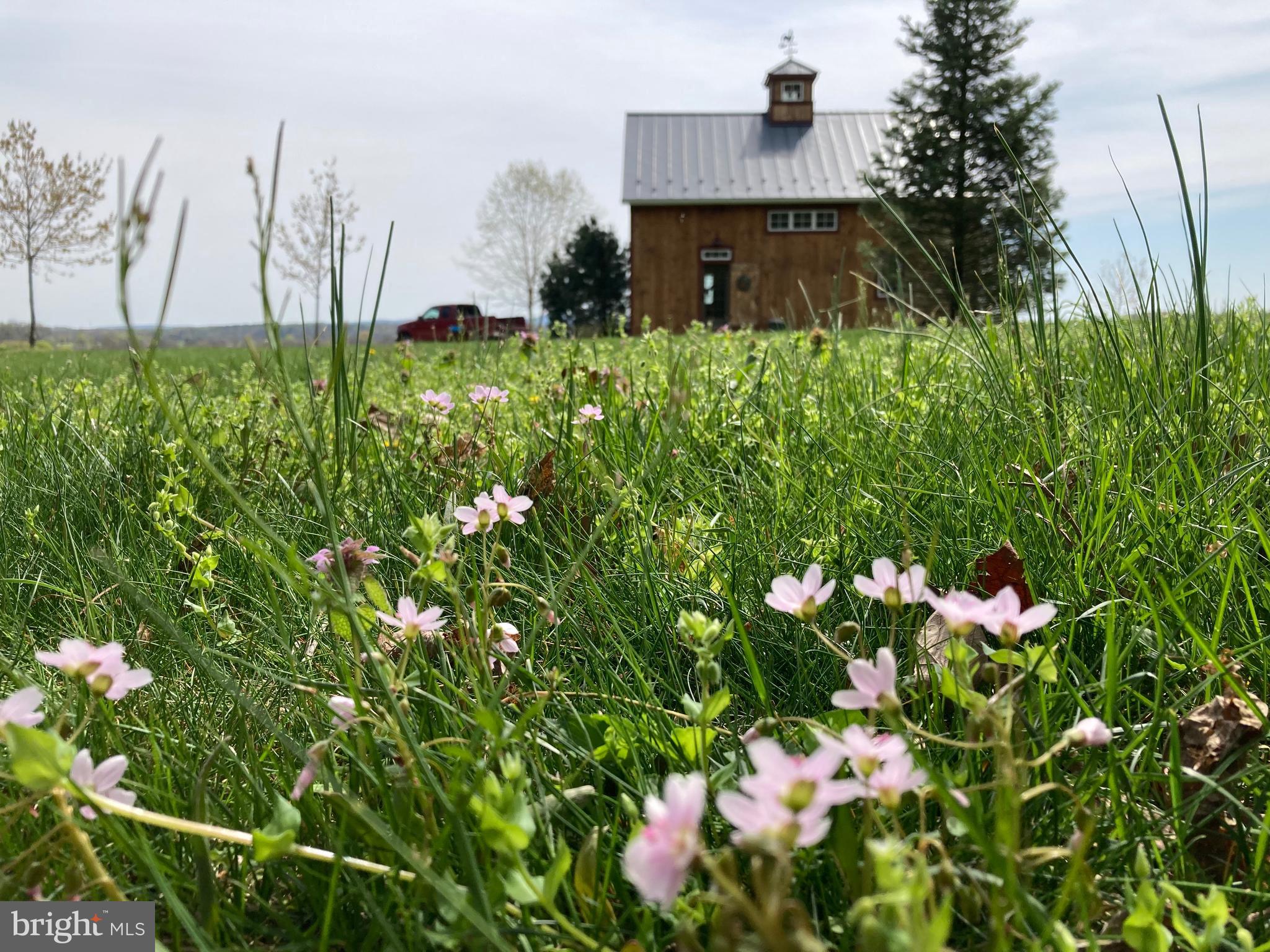 NONE, RURAL - Farm