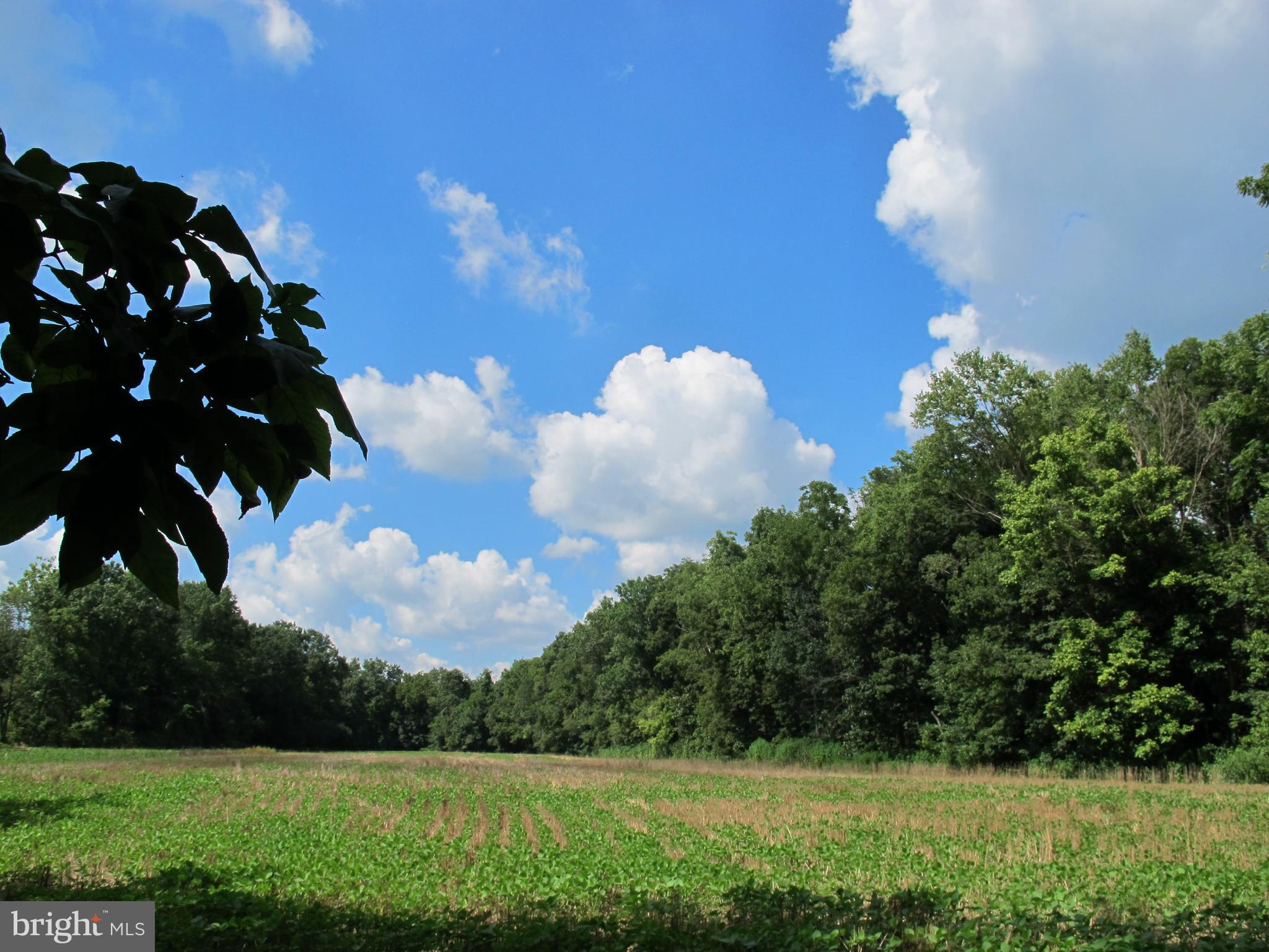 NONE, RURAL - Farm