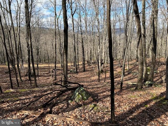 Dreaming of your own private slice of wilderness? This 21.57-acre tract in Lost River Glen offers everything you’ve been searching for—breathtaking mountain views, a prime homesite, and the perfect balance of adventure and tranquility. Located near Rio, WV, and just two hours from Washington, D.C., this property is your gateway to a life where the great outdoors is always within reach. Featuring a homesite with stunning views and nearby electricity, it’s ready for you to create a basecamp that fits your vision. Whether you dream of a cozy cabin for weekend escapes or a hunting lodge to share with friends, this land provides the perfect backdrop for your outdoor lifestyle. This property is a haven for those who love the outdoors. It’s ideal for hunting, with abundant wildlife including deer, turkey, and bear, hiking along its wooded trails, or simply unwinding in the peace and quiet of nature. If you value privacy, adventure, and a place to escape the hustle of daily life, this property has it all. Located near the Hampshire/Hardy County line, you’ll also enjoy convenient access to thousands of acres of public land, including the George Washington National Forest, Nathaniel Mountain WMA, and Short Mountain WMA. With endless wild places to explore, the possibilities for outdoor recreation are truly limitless. This is more than just land—it’s your ticket to a lifestyle defined by nature, adventure, and freedom!