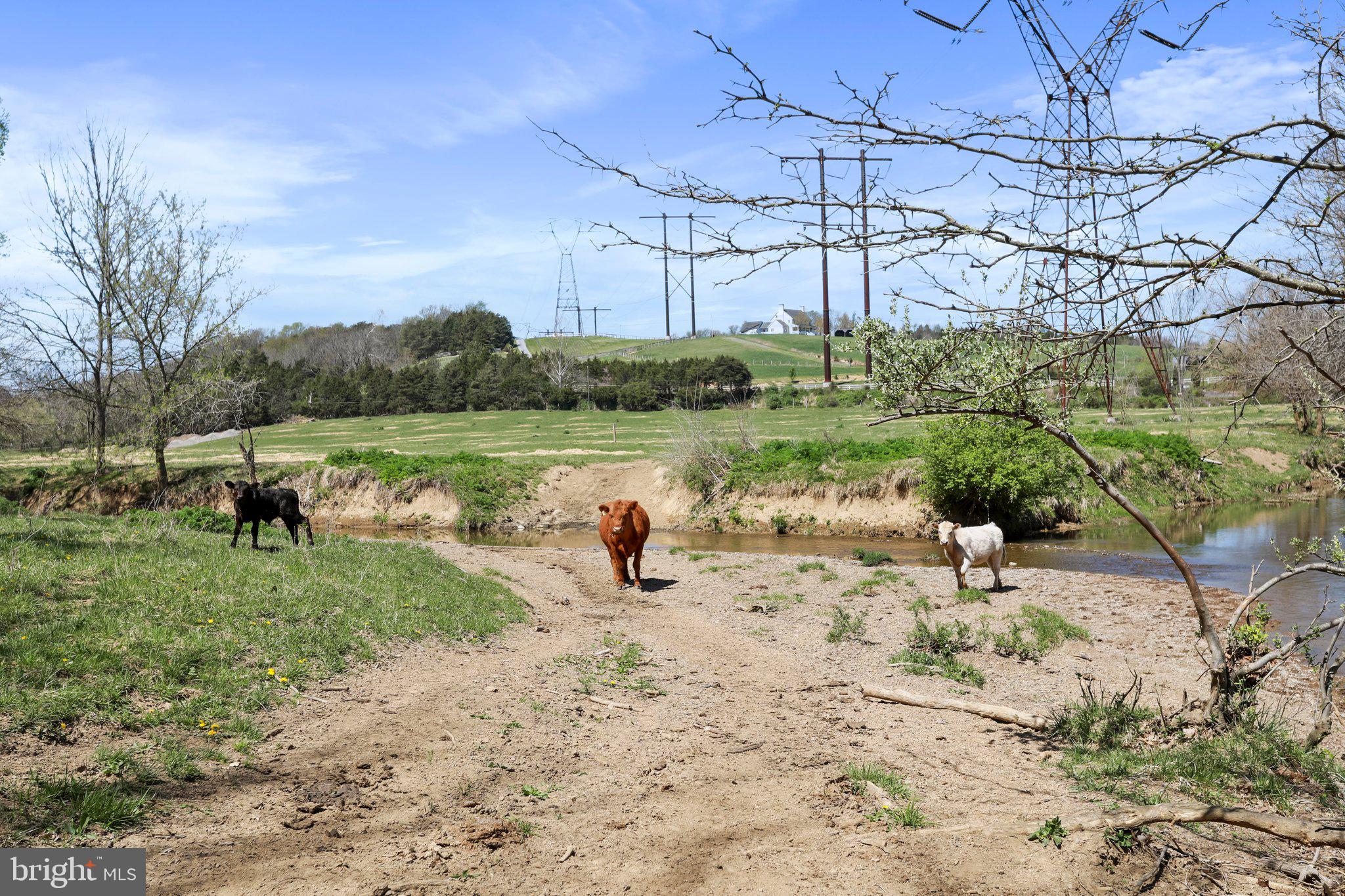 CROOKED RUN - Land