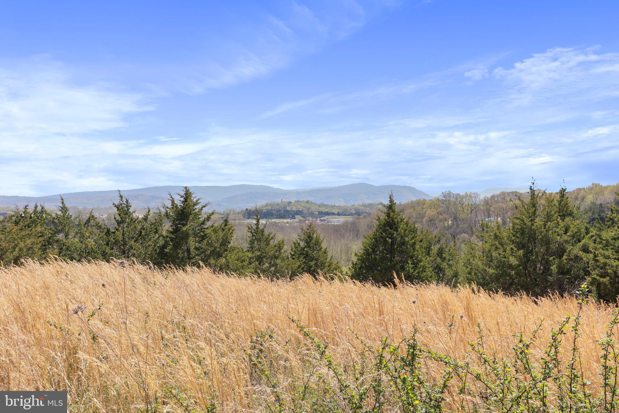 CROOKED RUN - Land