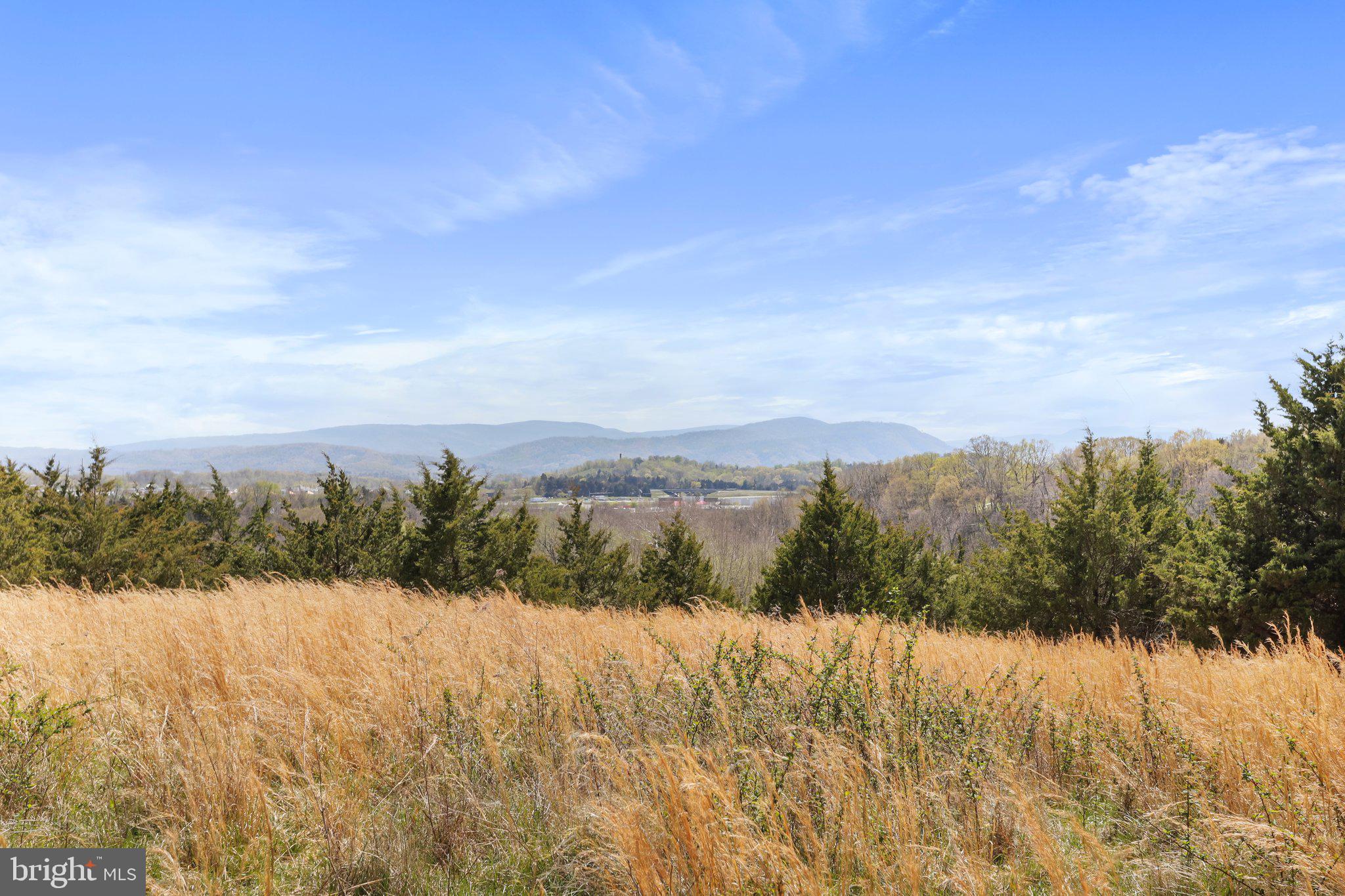 CROOKED RUN - Land