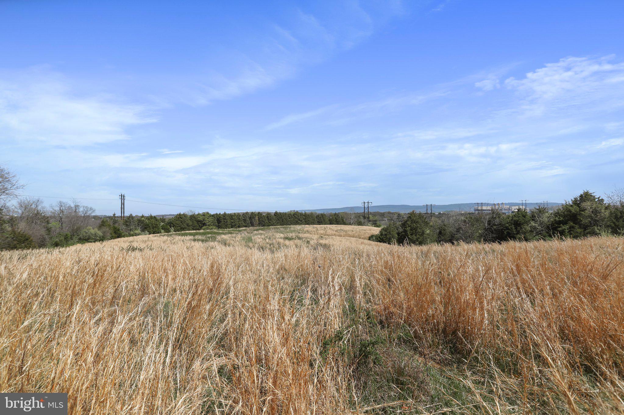 CROOKED RUN - Land