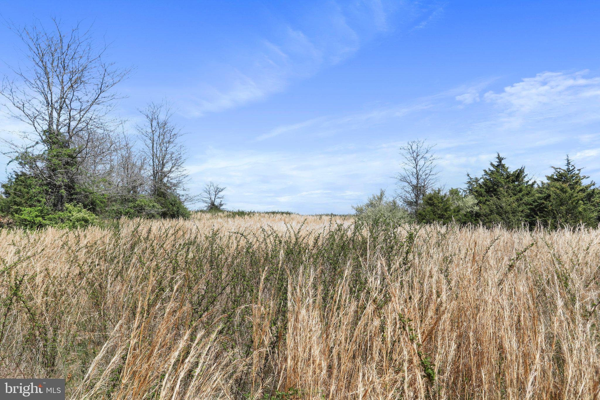 CROOKED RUN - Land
