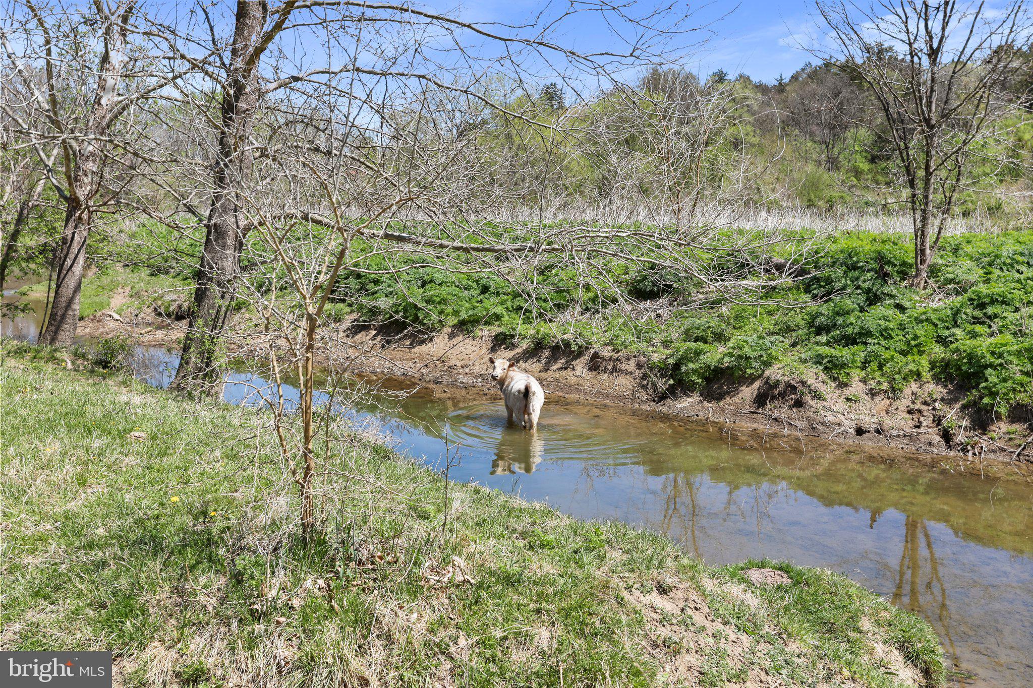 CROOKED RUN - Land