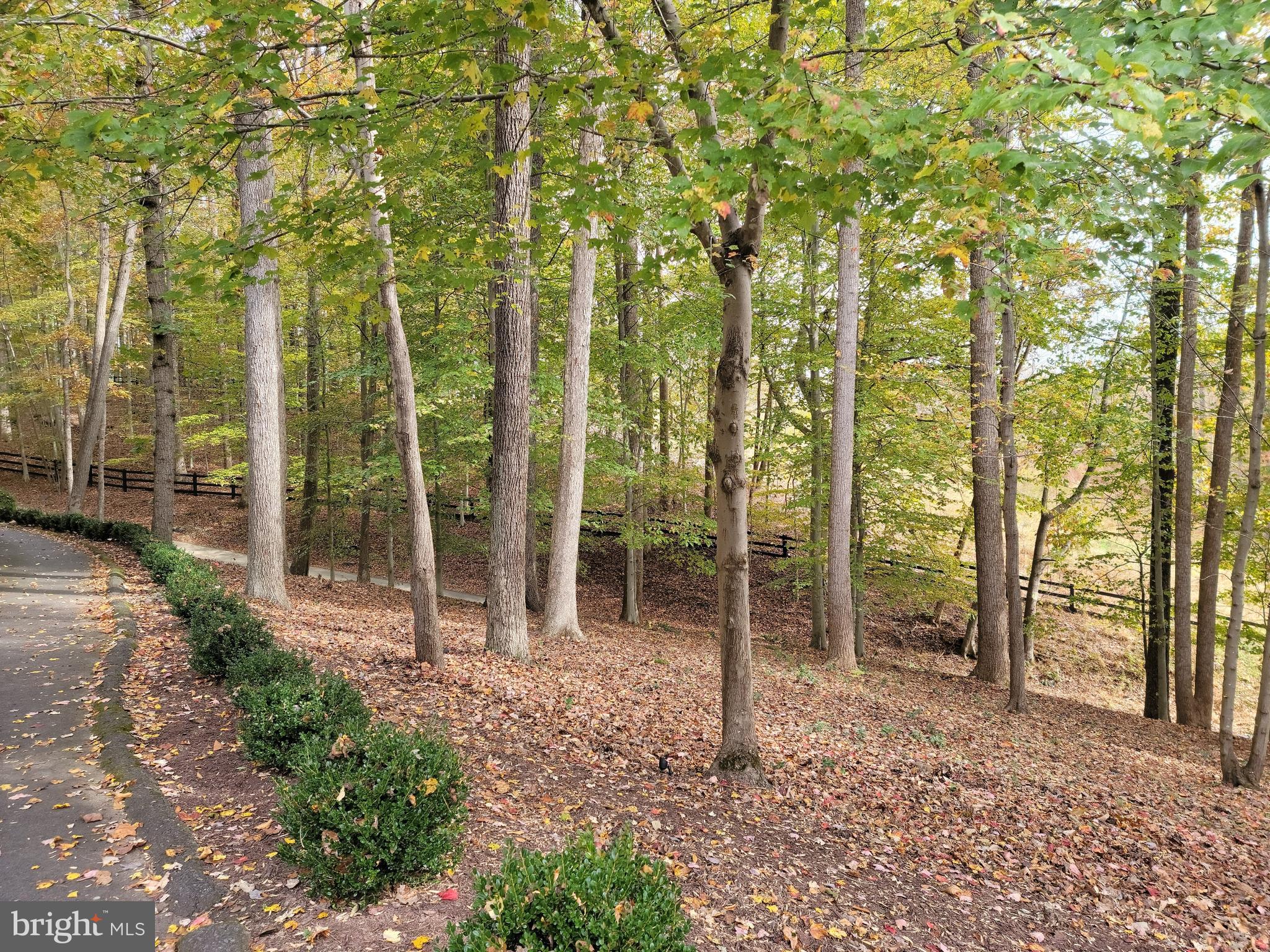 POTOMAC RIDGE ESTATES - Land