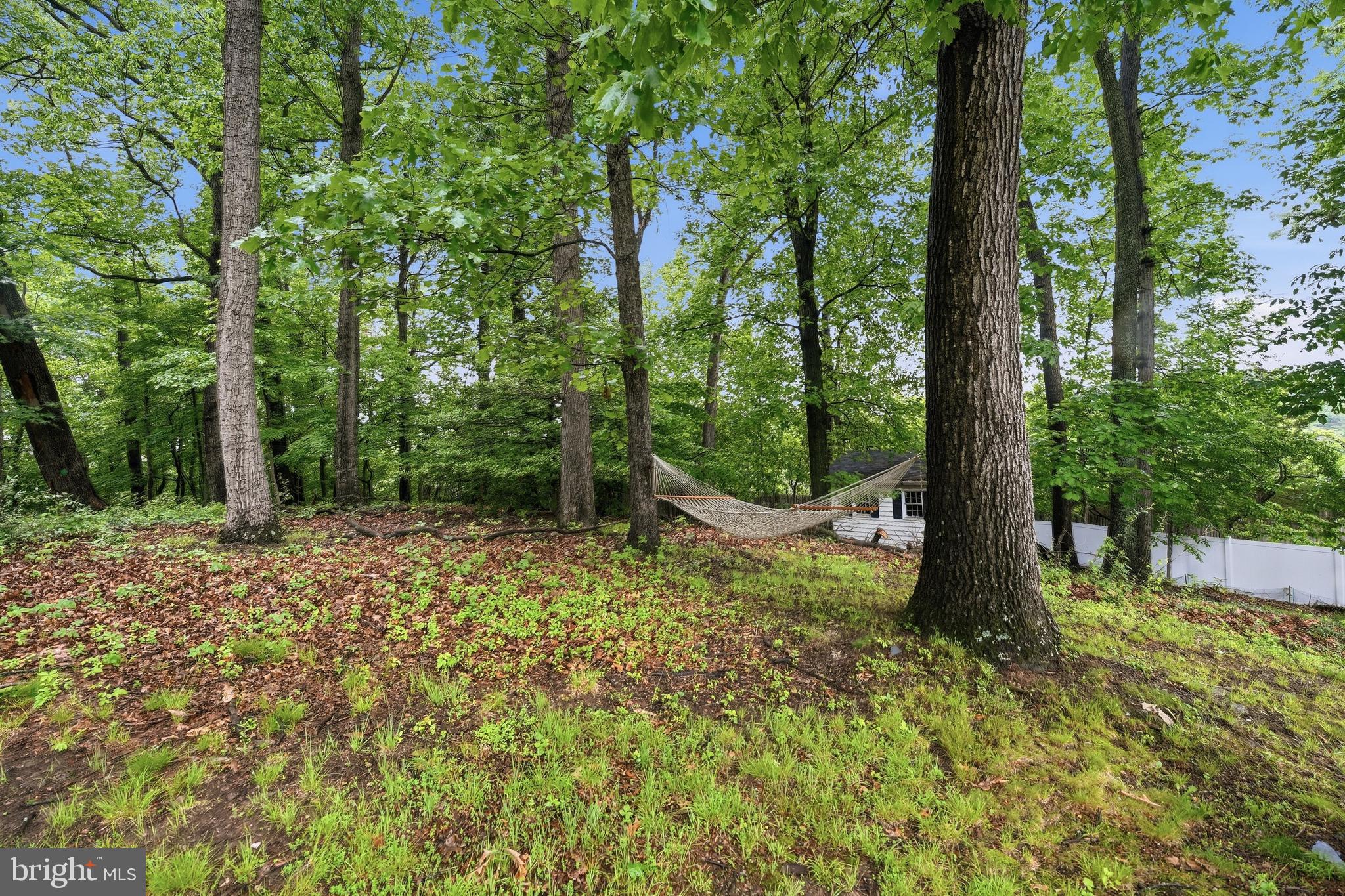 MONTROSE WOODS - Residential