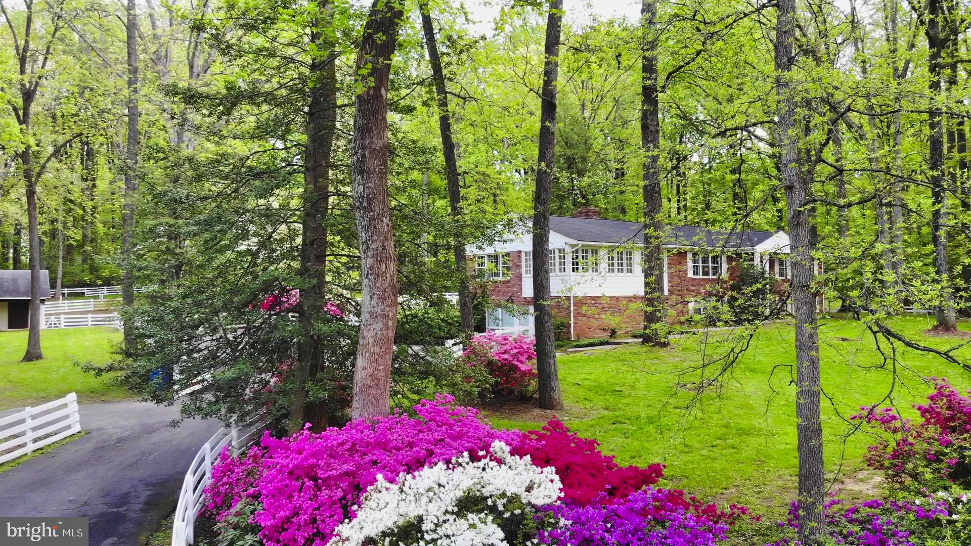 FERGUSON HAZEL T - Residential