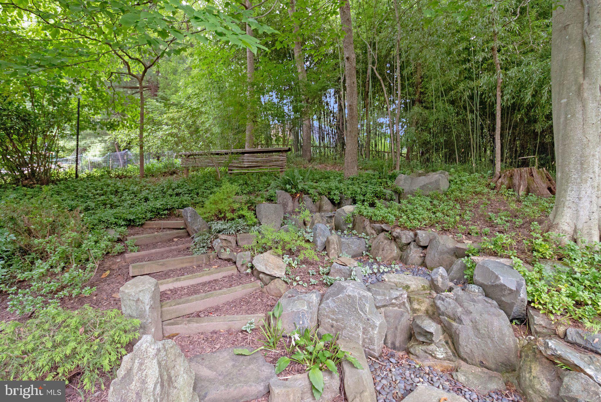CARDEROCK SPRINGS - Residential