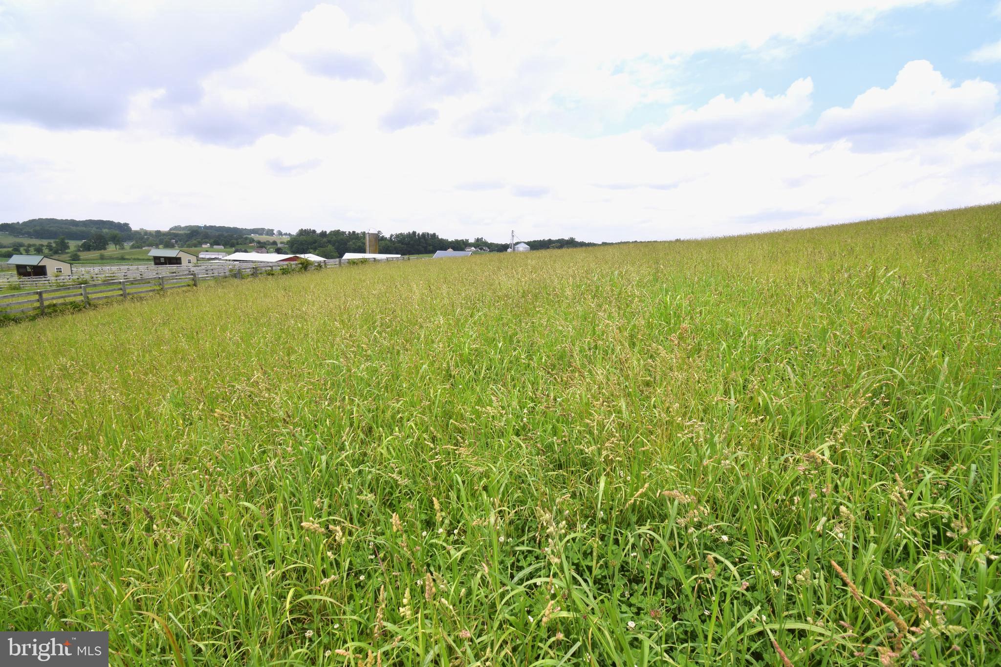 NONE AVAILABLE - Farm