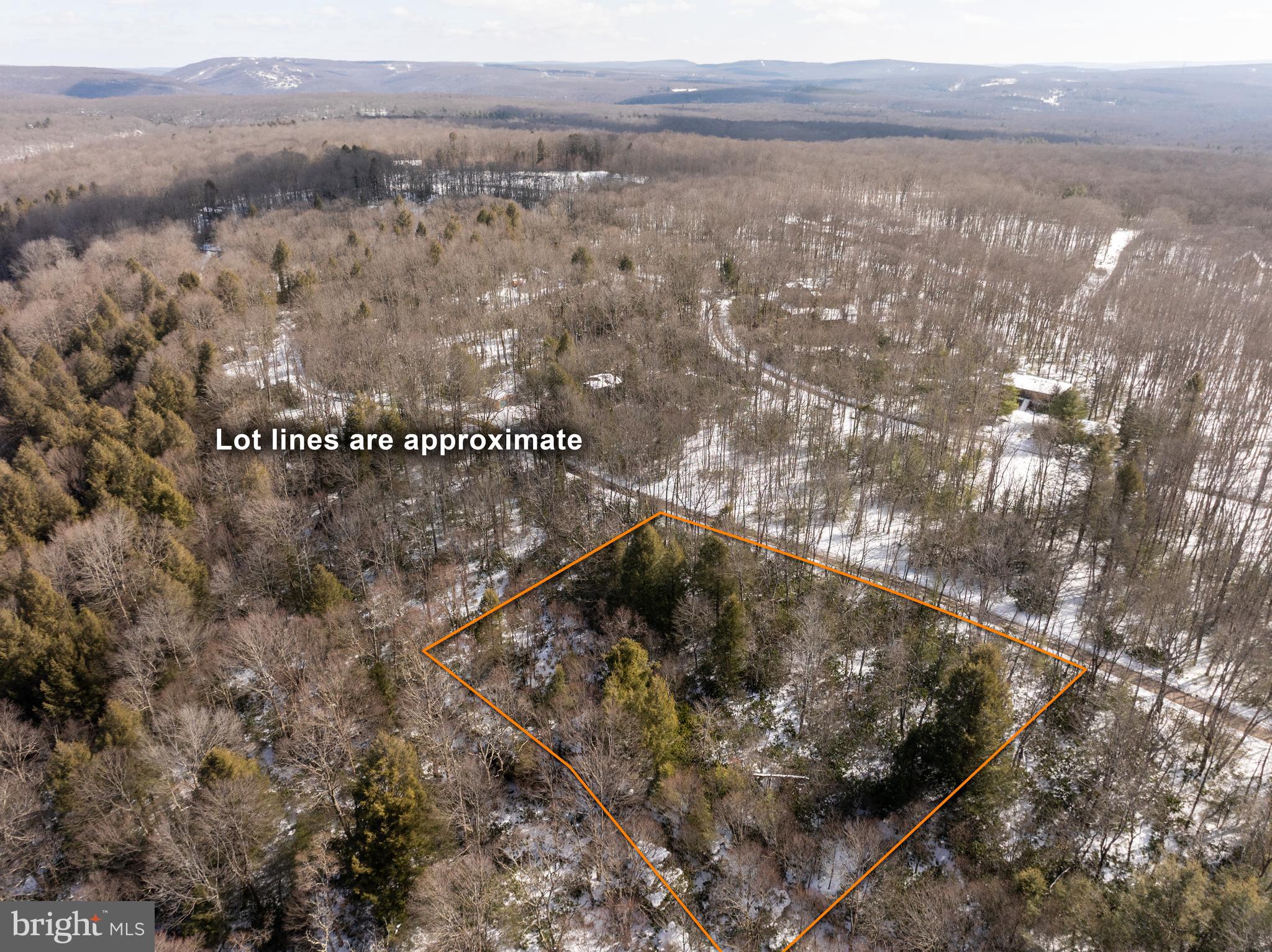 PINEY MOUNTAIN CORP - Land