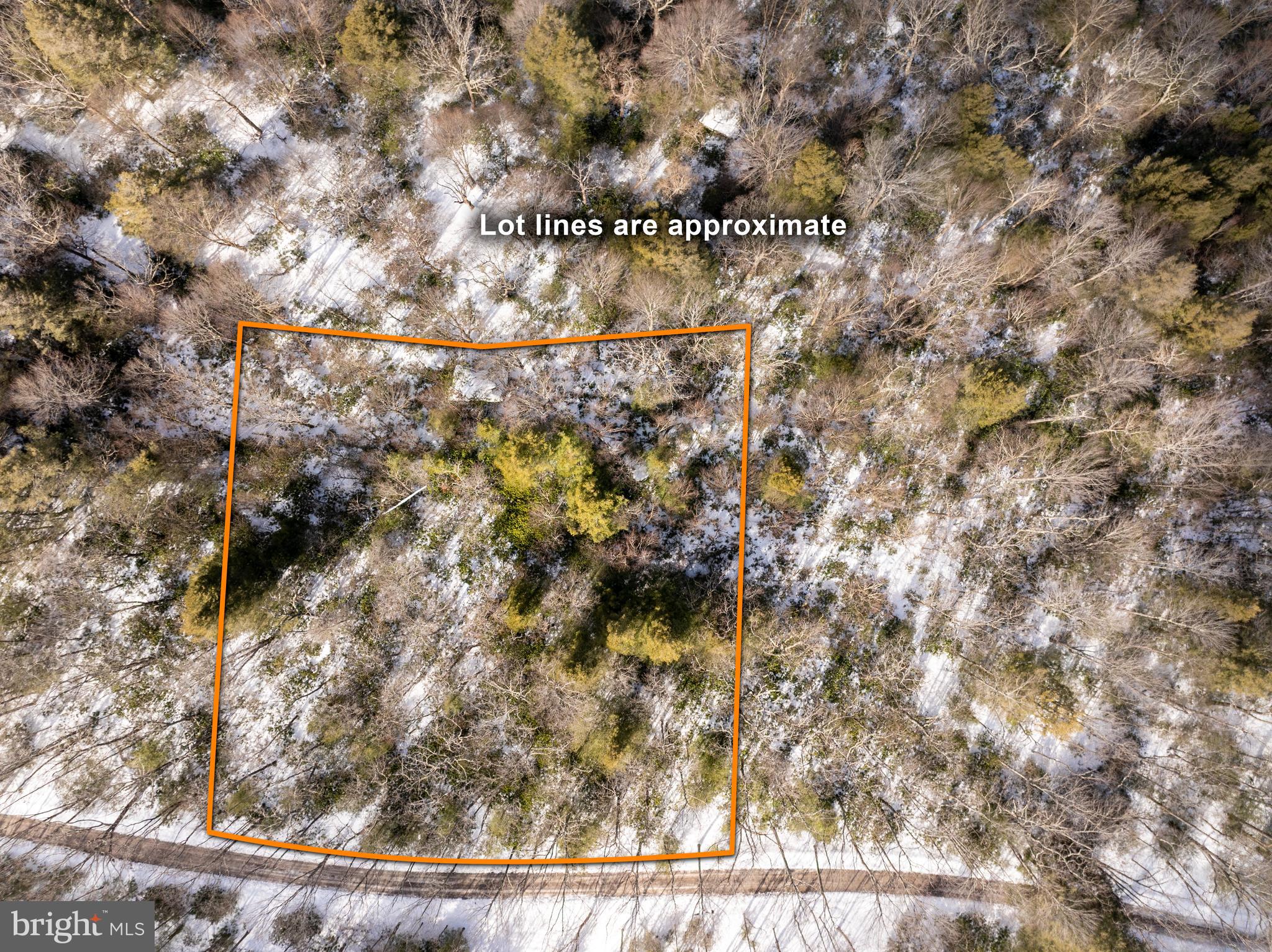 PINEY MOUNTAIN CORP - Land