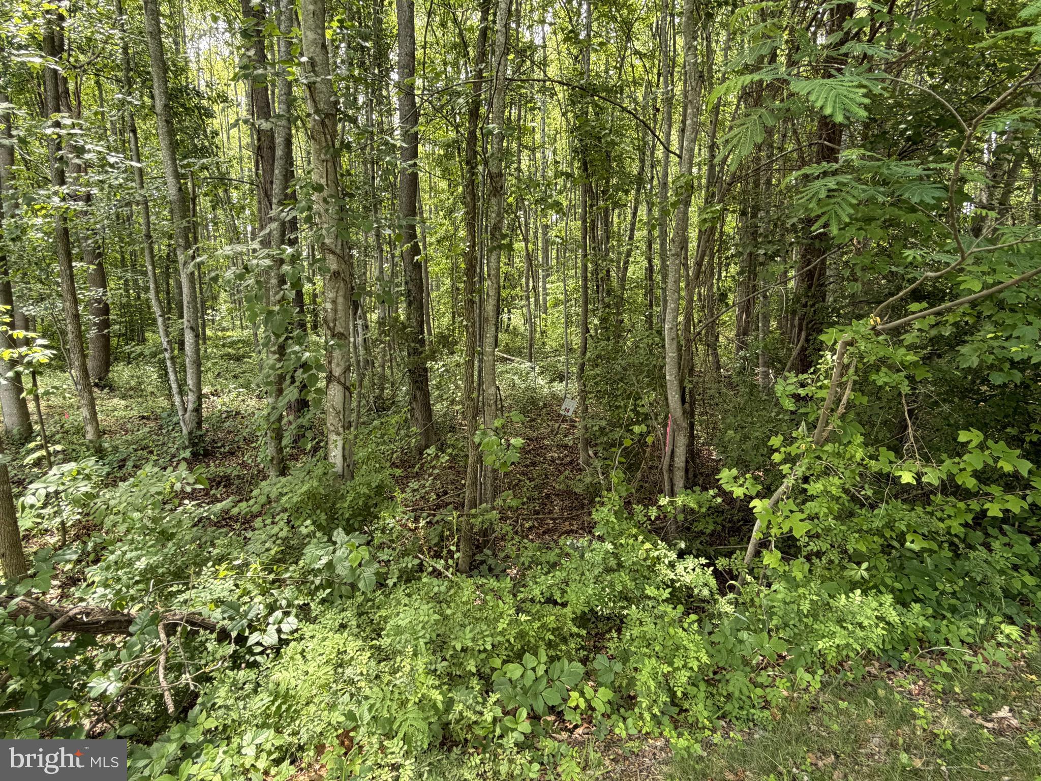 Discover your opportunity to build in the highly sought-after Overton Fork Subdivision on the private side of Lake Anna. This spacious 1.07-acre lot offers an incredible blend of privacy, convenience, and direct access to one of Virginia’s premier freshwater lakes.

The lot is very close to being build-ready. A wetlands survey has already been completed, and permits can be pulled quickly—allowing you to potentially break ground in approximately 30 days. Whether you’re dreaming of a custom waterfront home, weekend getaway, or year-round residence, this lot gives you a fast track to making it happen.

Key Features & Amenities:

Boat Slip – Your own assigned slip in the community common area for private use
Private-Side Lake Anna Location – Enjoy the quieter, more exclusive side of the lake
Gorgeous Community Common Area right by the water, featuring:
Sandy beach and swimming area
Boat launch
Additional first-come, first-served mooring slips
Picnic areas perfect for gatherings

Golf Cart Friendly Community – Cruise the neighborhood and head to the water with ease
Active Community Spirit – Regular events held in the common area for residents to enjoy and connect

Overton Fork offers the perfect balance of peaceful wooded surroundings and fantastic lake lifestyle amenities. This is a rare chance to secure a sizable lot with private boat slip access in a community that truly delivers on the Lake Anna dream.
Don’t miss out on this ready-to-build opportunity on the private side of the lake. Contact us today for more details or to schedule a private showing of the lot!