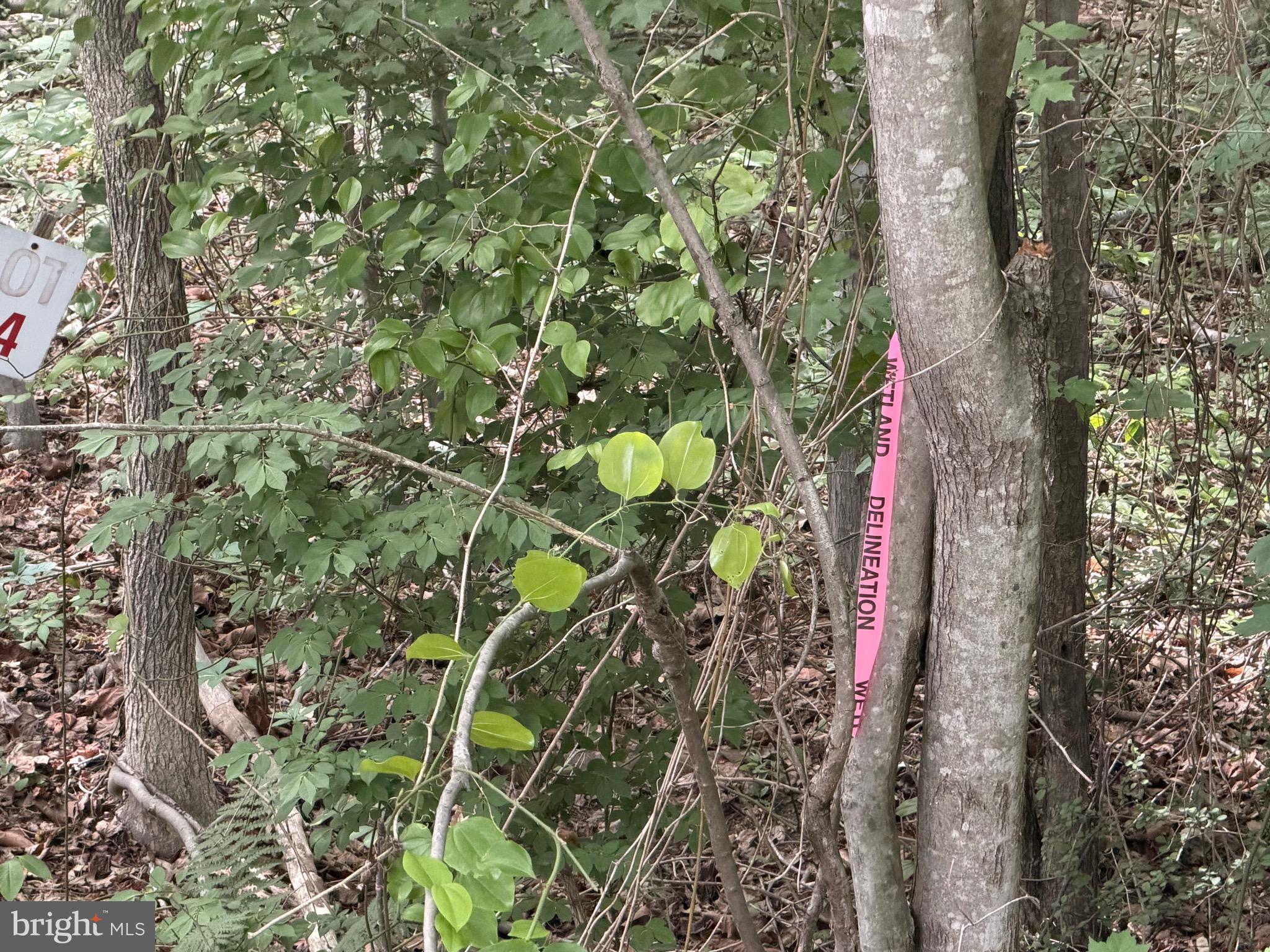 OVERTON FORK - Land