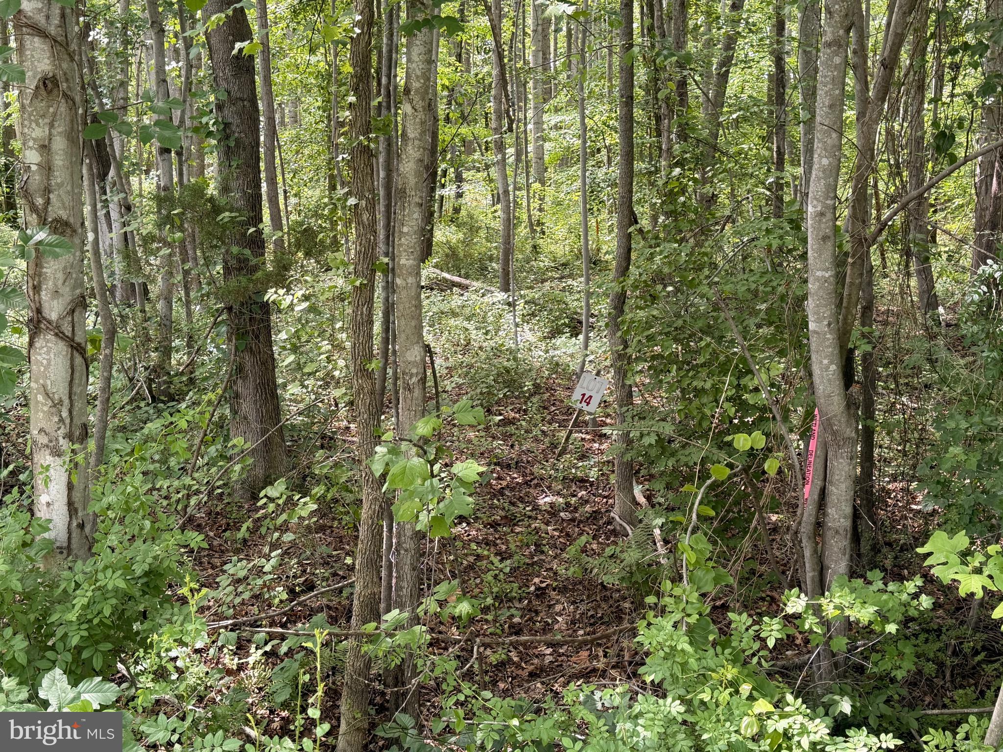 OVERTON FORK - Land
