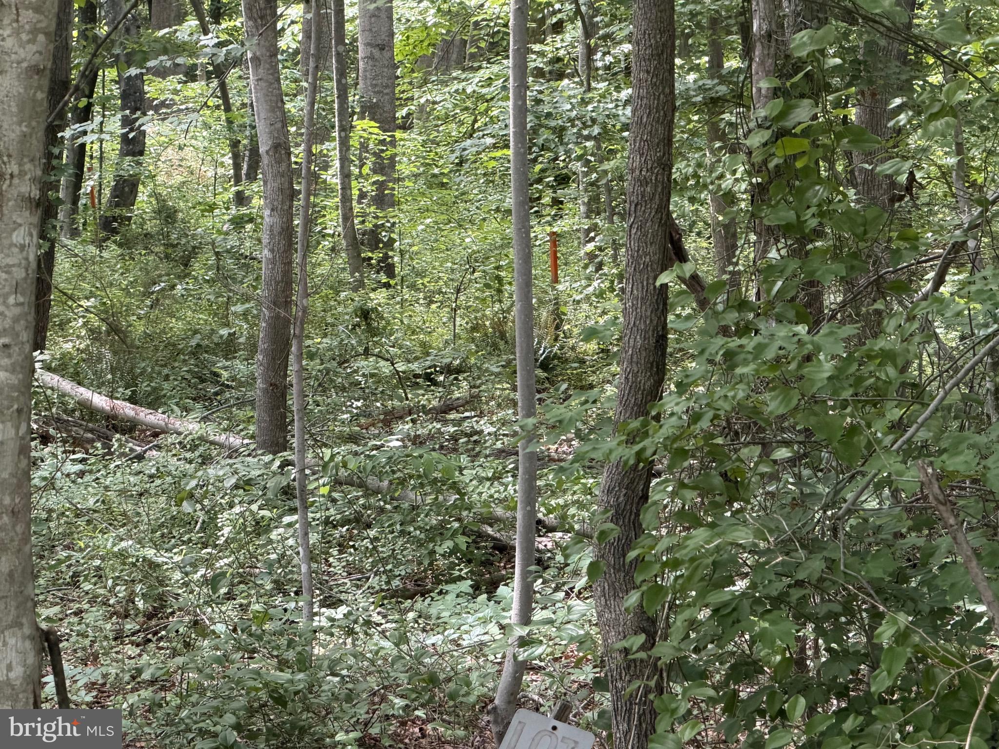 OVERTON FORK - Land
