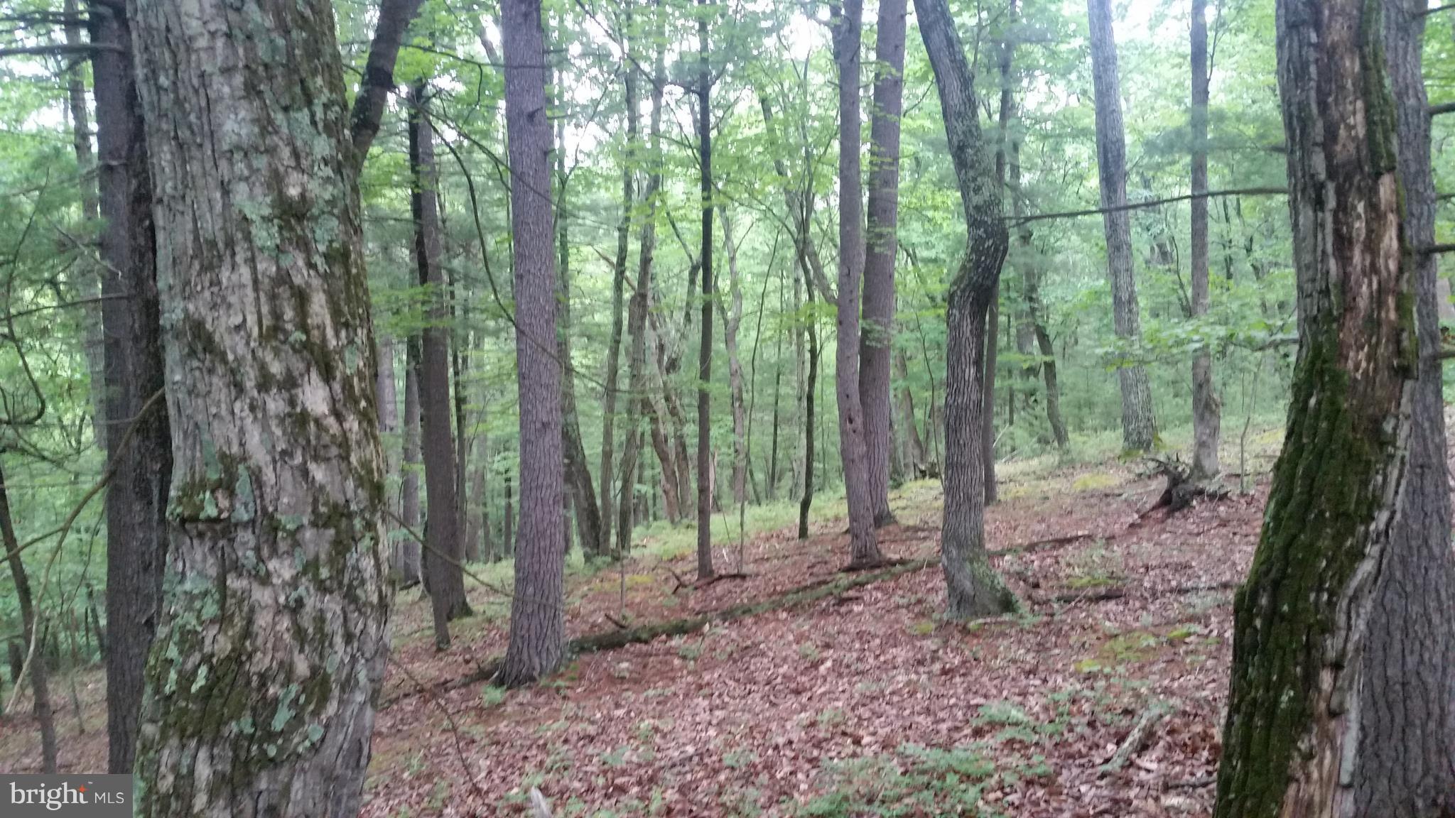 CEDAR RUN - Land