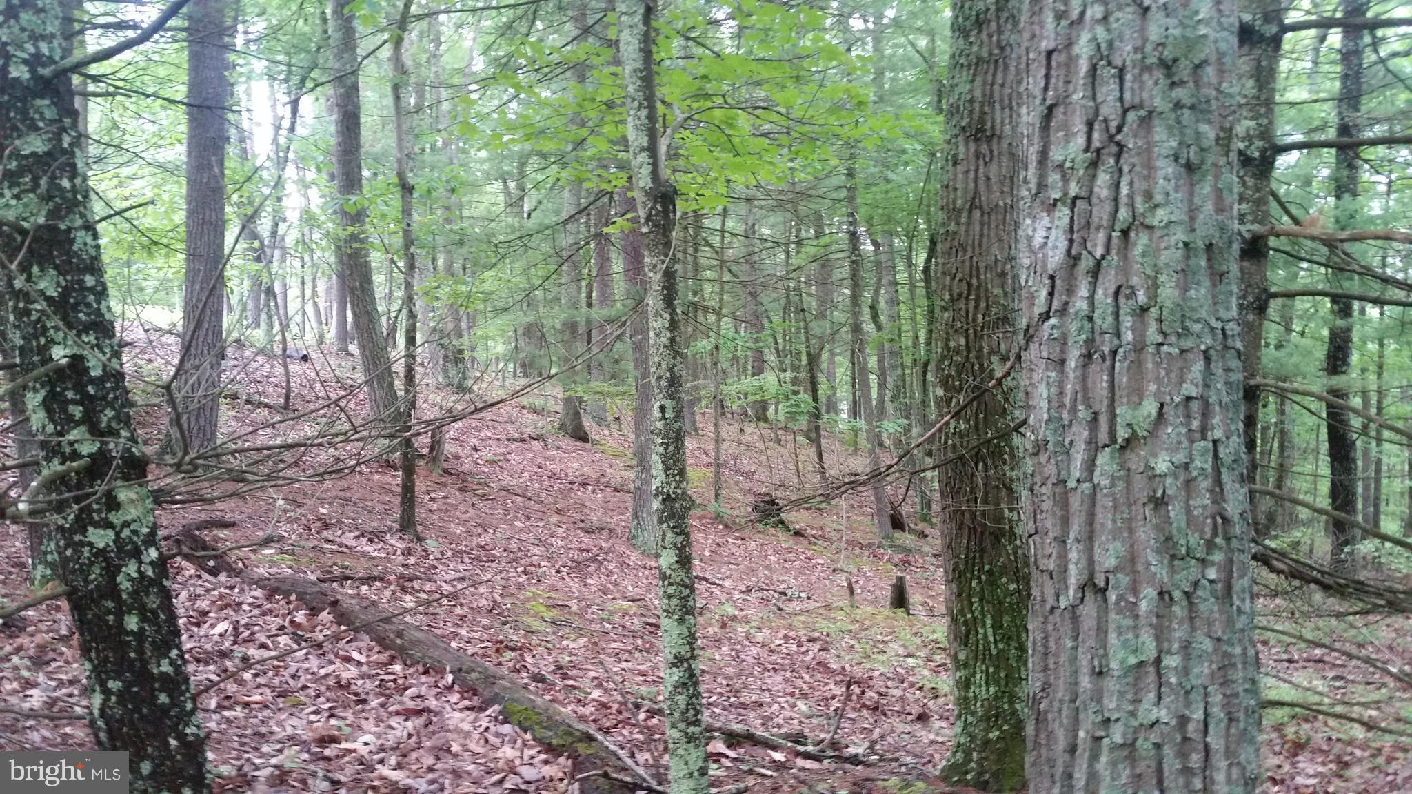CEDAR RUN - Land